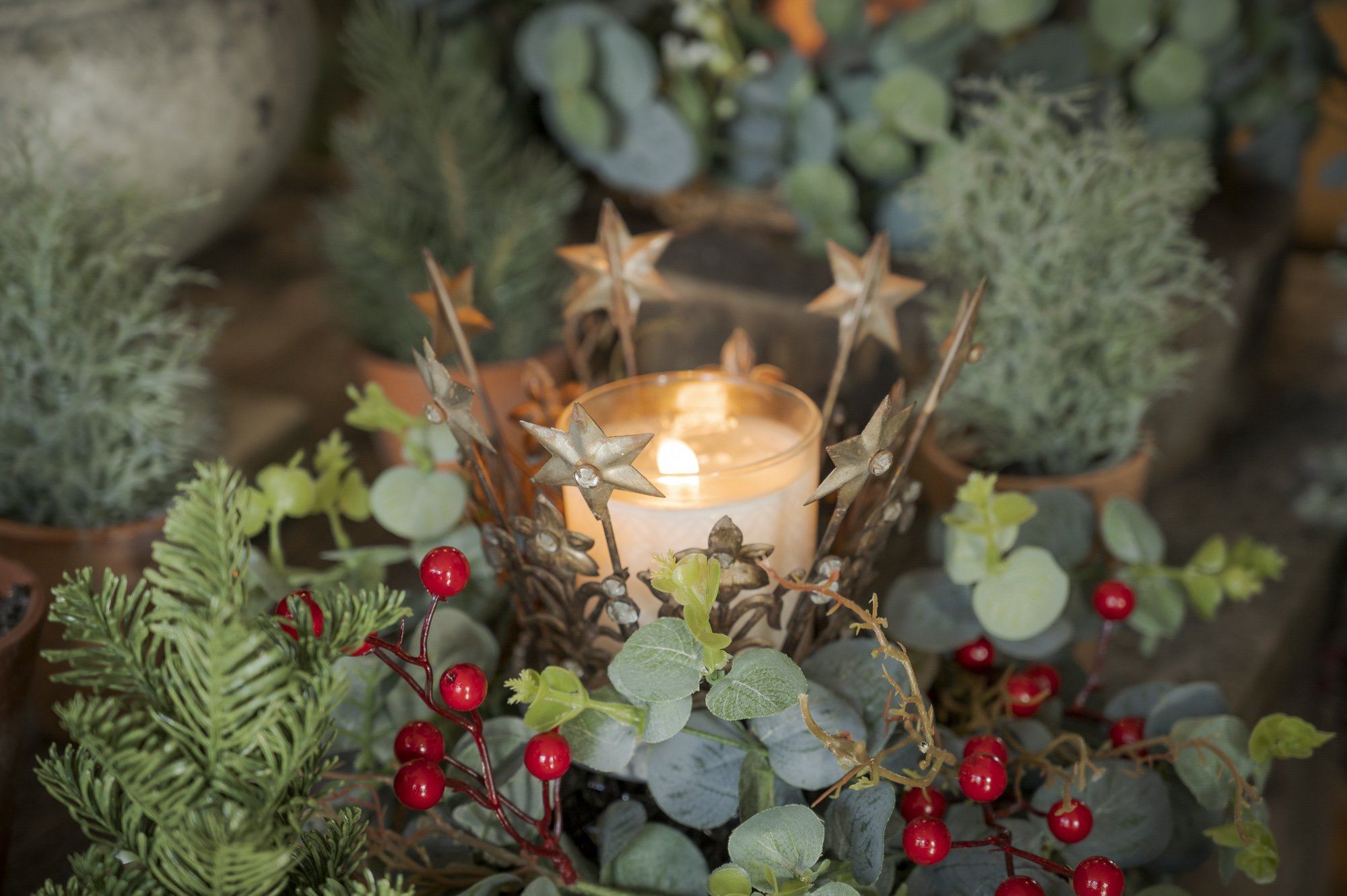 A garden and home lover’s Christmas gift guide 2020