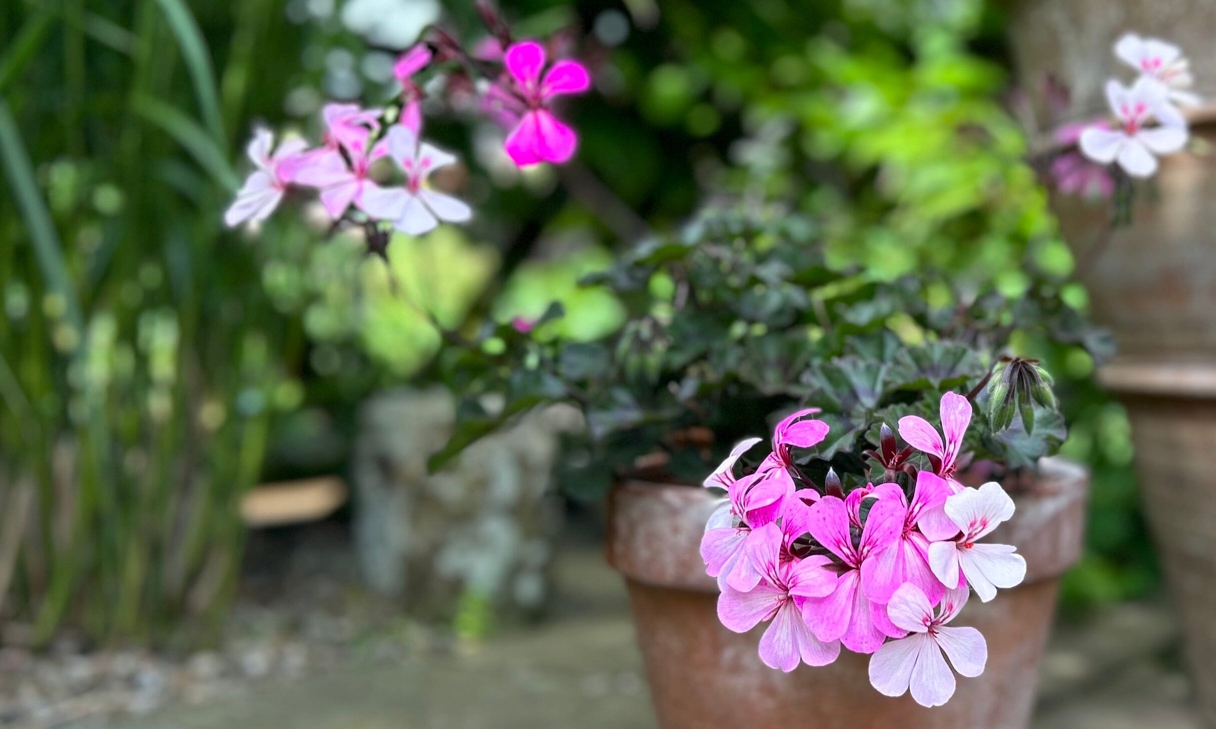 Simple solutions for an instant garden décor update