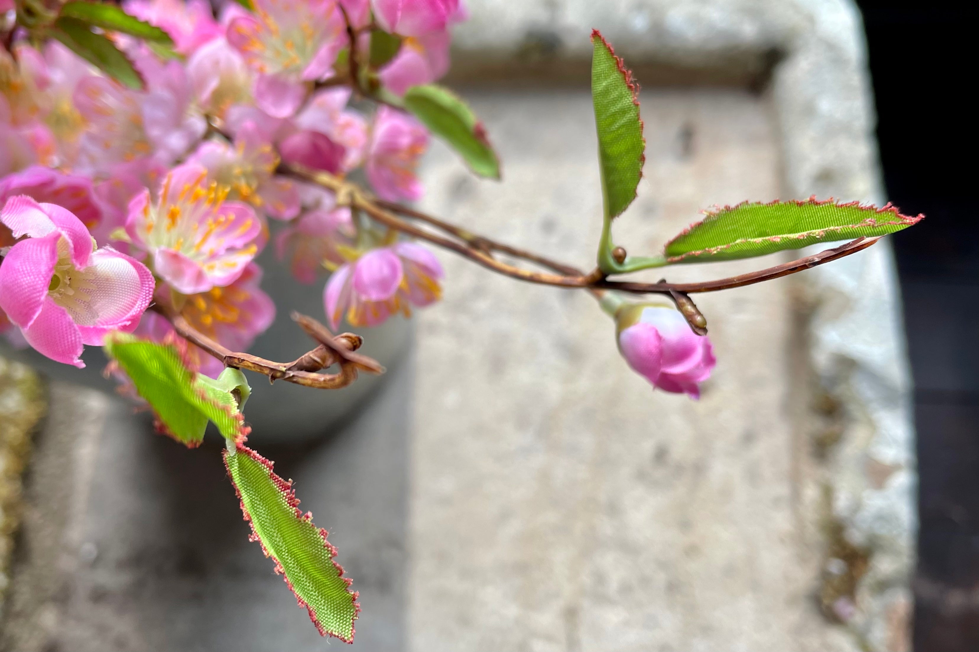 Spring into action with our seasonal updates