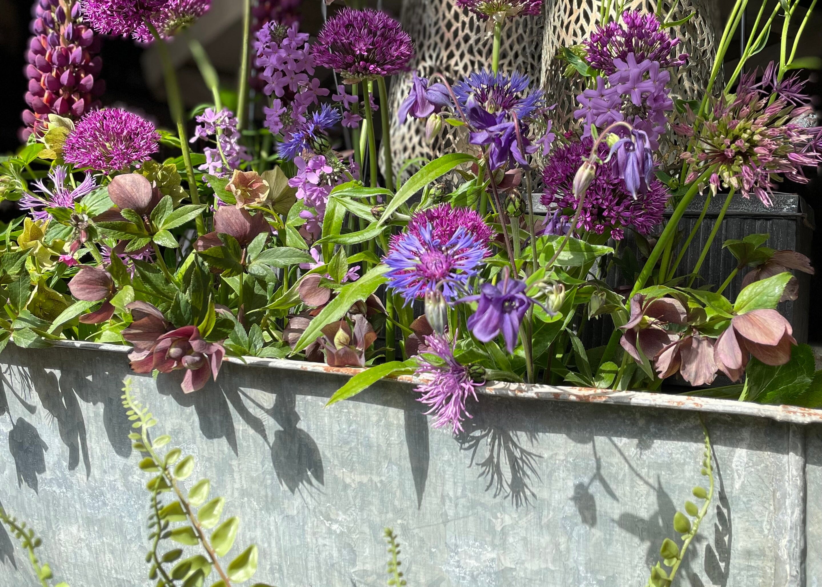 We can help you reach your gardening goals