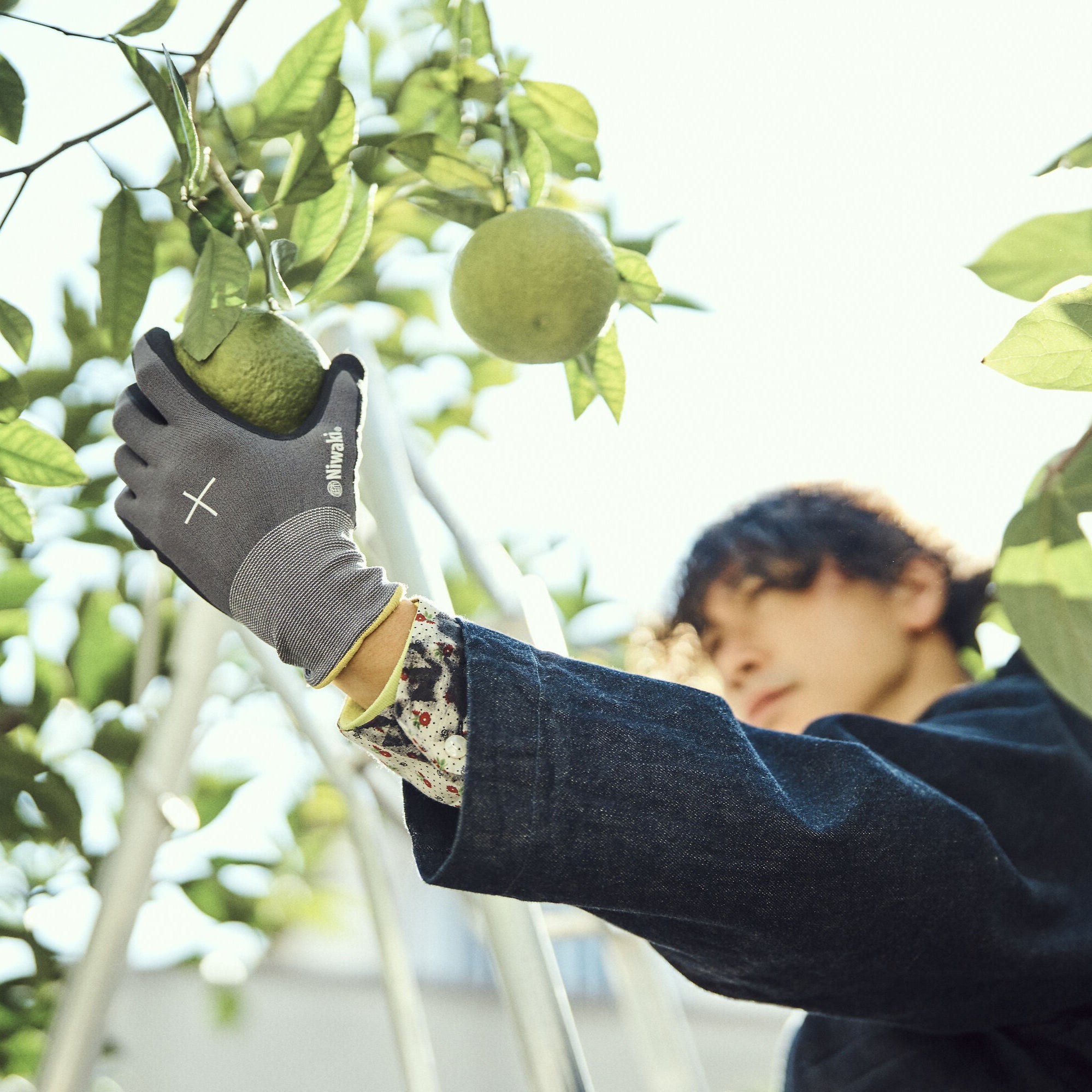 Niwaki Gardening Gloves