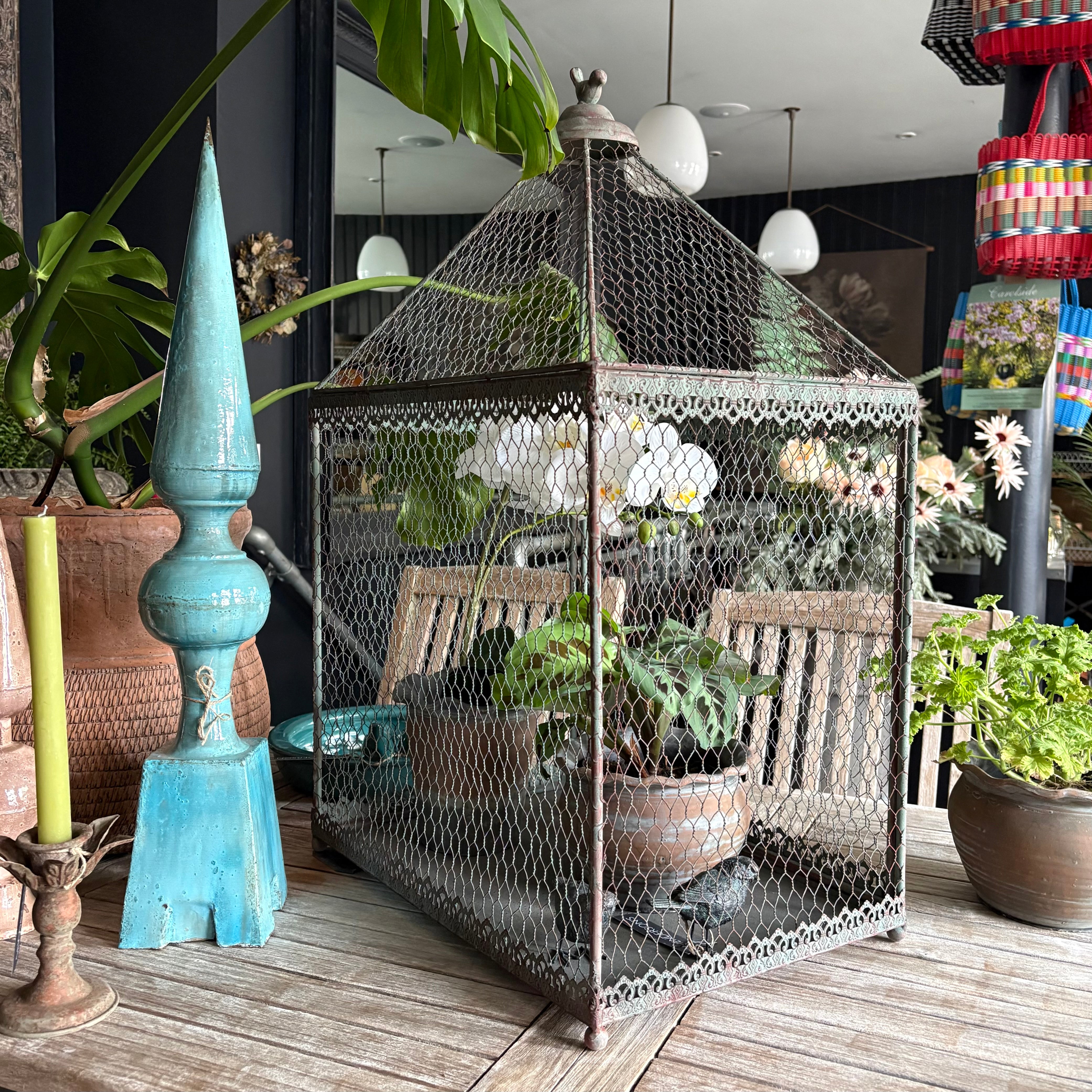 Birdcage Plant Theatre