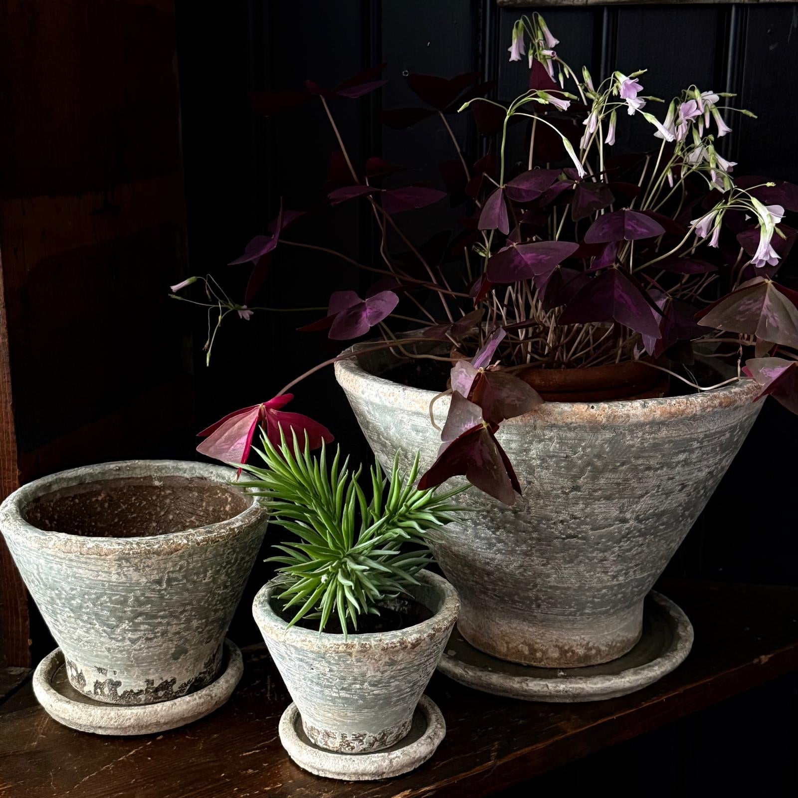 Elie Planter