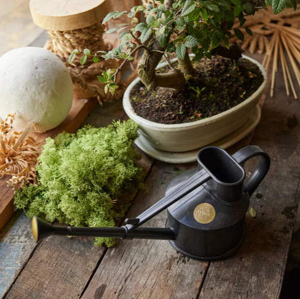 Haws Indoor Watering Can