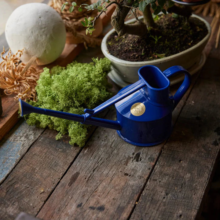 Haws Indoor Watering Can