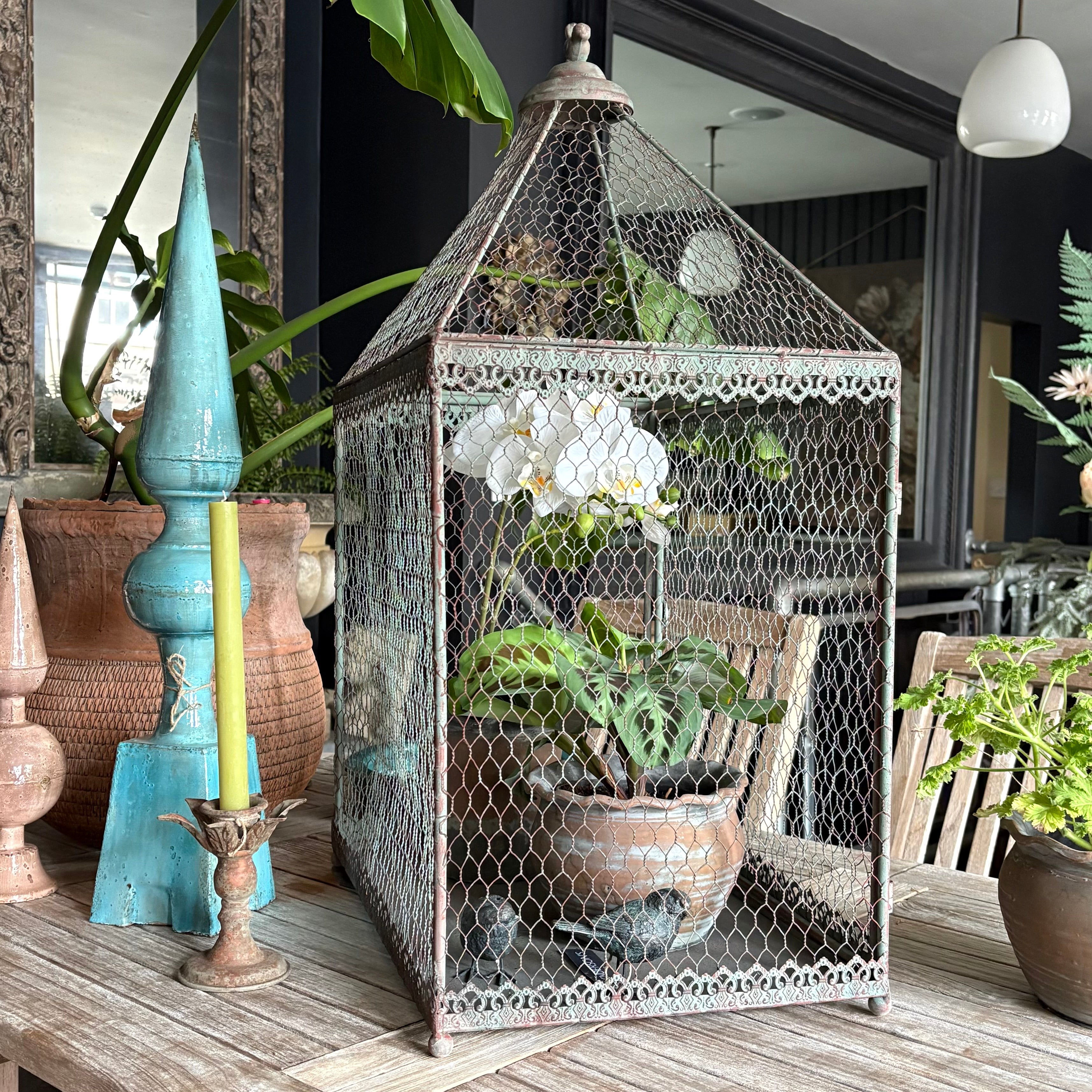 Birdcage Plant Theatre