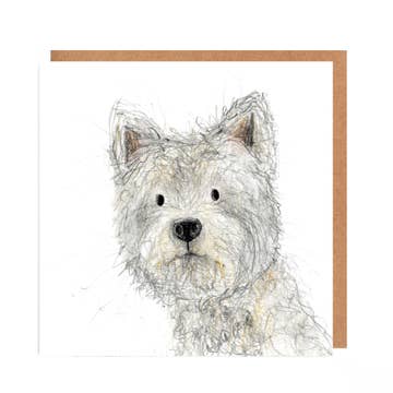 Greetings Cards By Catherine Rayner