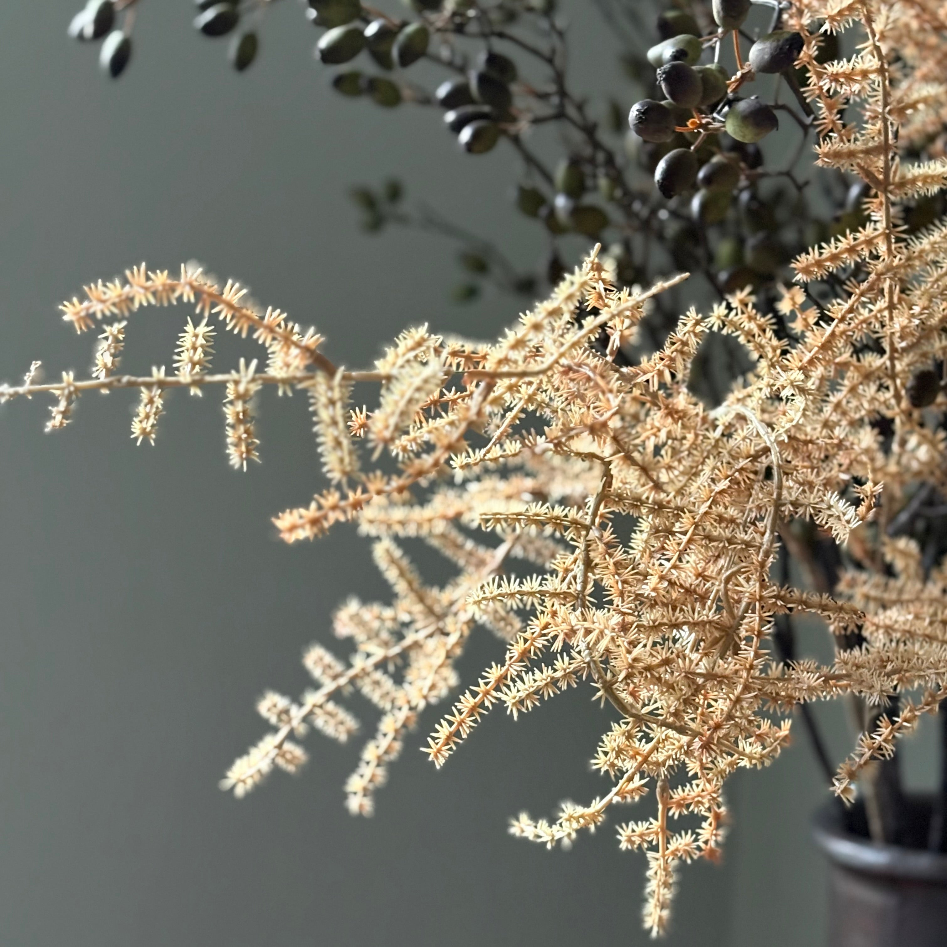 Artificial Asparagus Fern