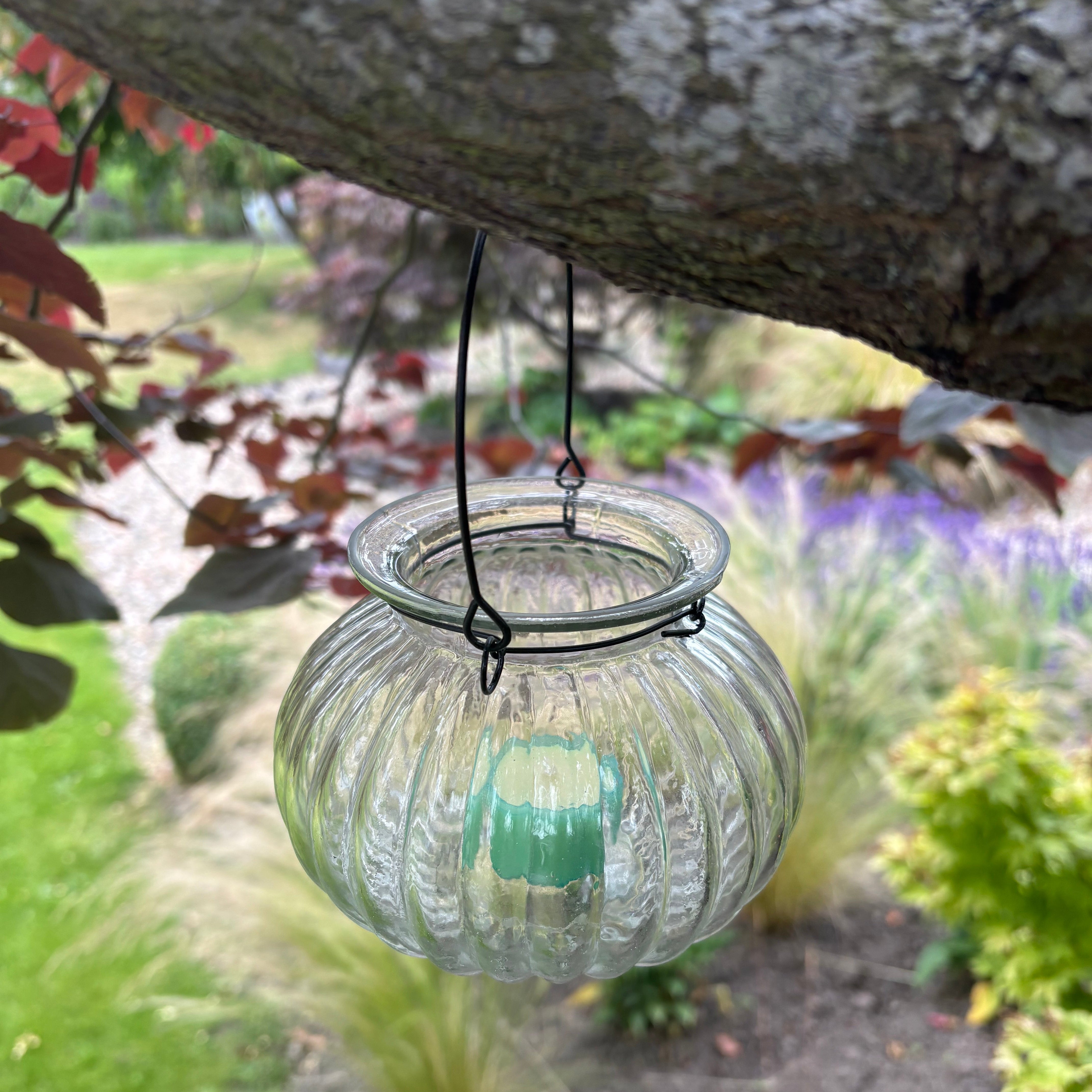 Bina Glass Hanging Lantern
