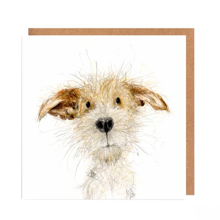 Greetings Cards By Catherine Rayner
