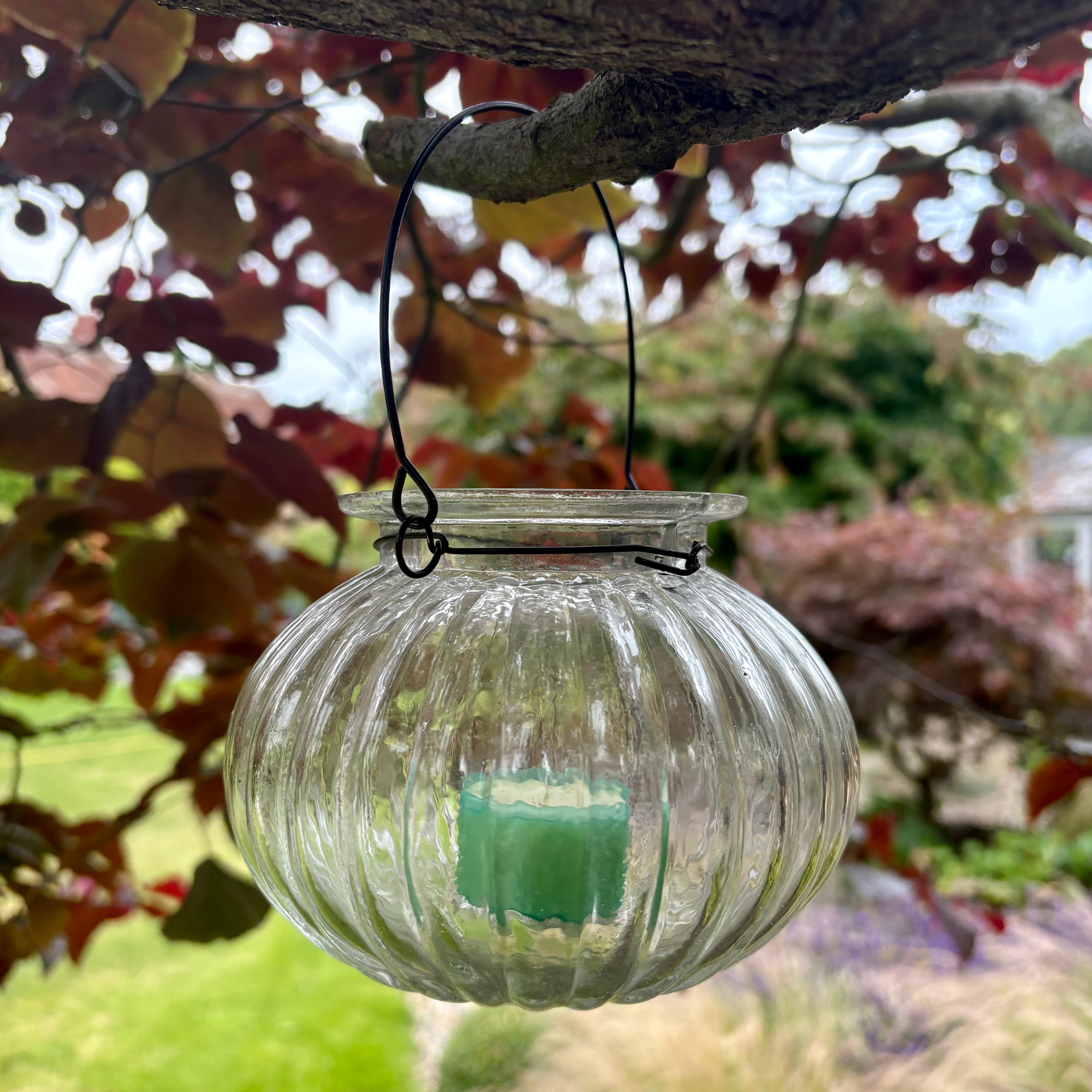 Bina Glass Hanging Lantern