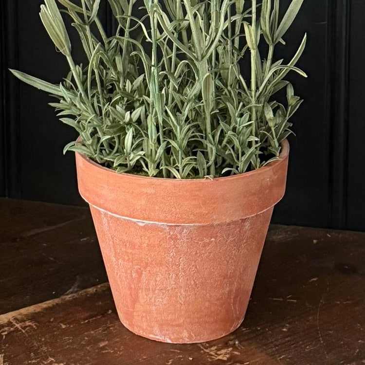 Faux English Lavender Plant