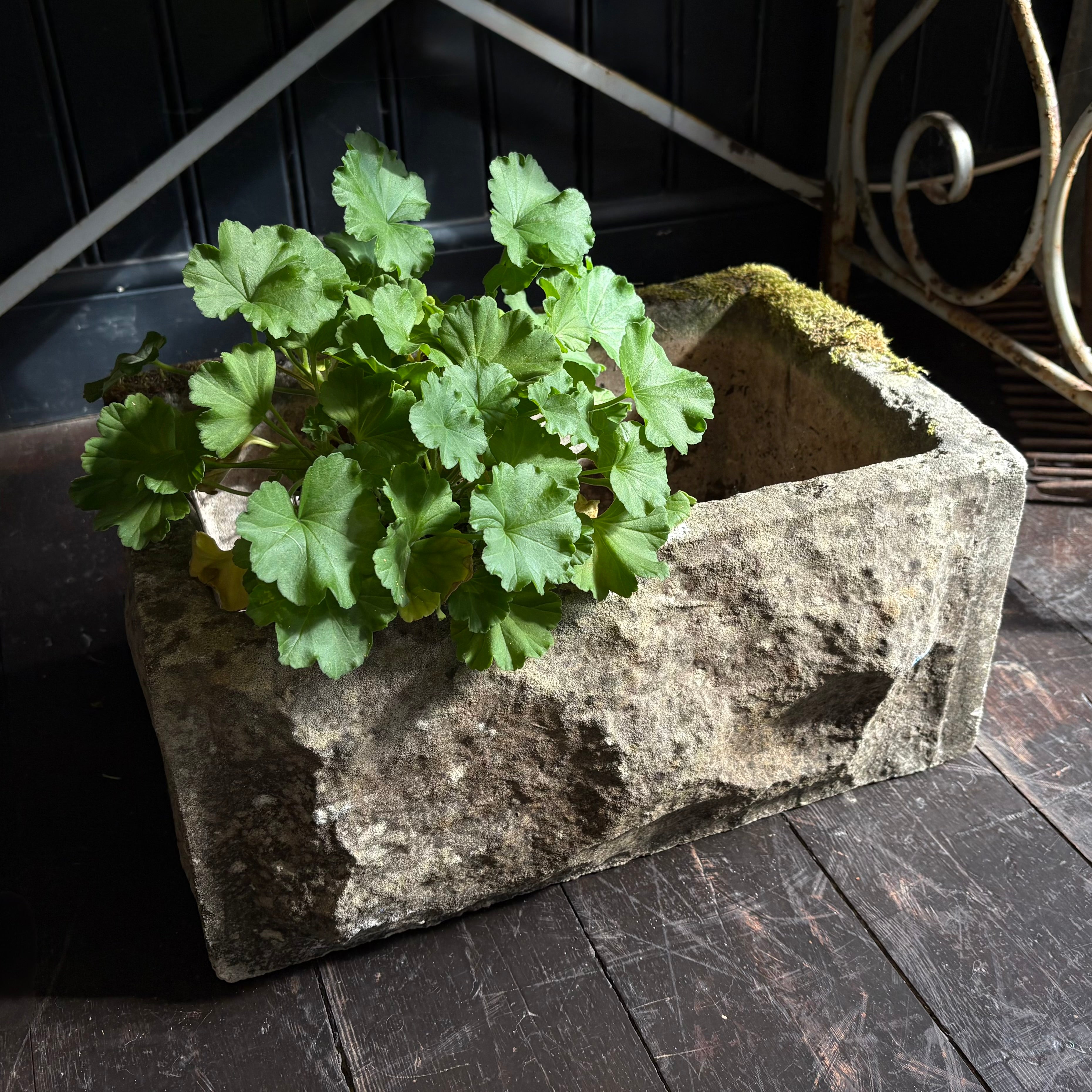 Small Garden Trough