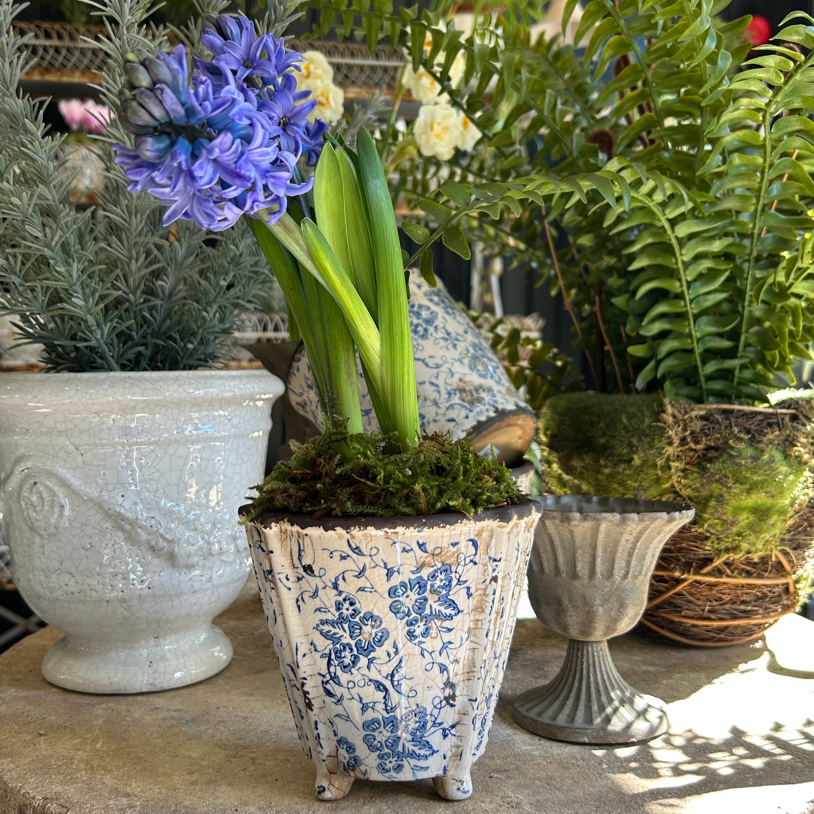 Flo Flower Pot
