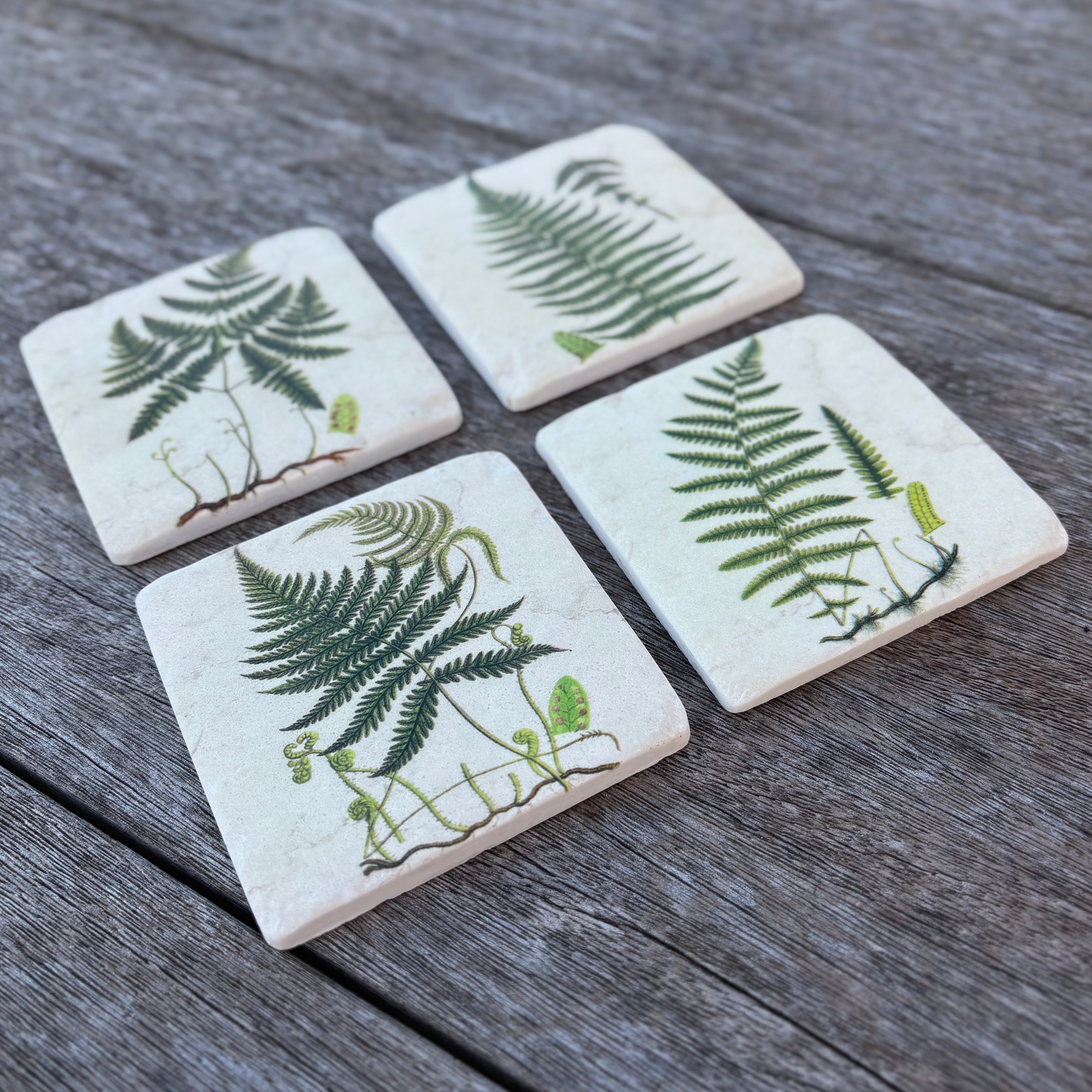 Set Of 4 Fern Coasters