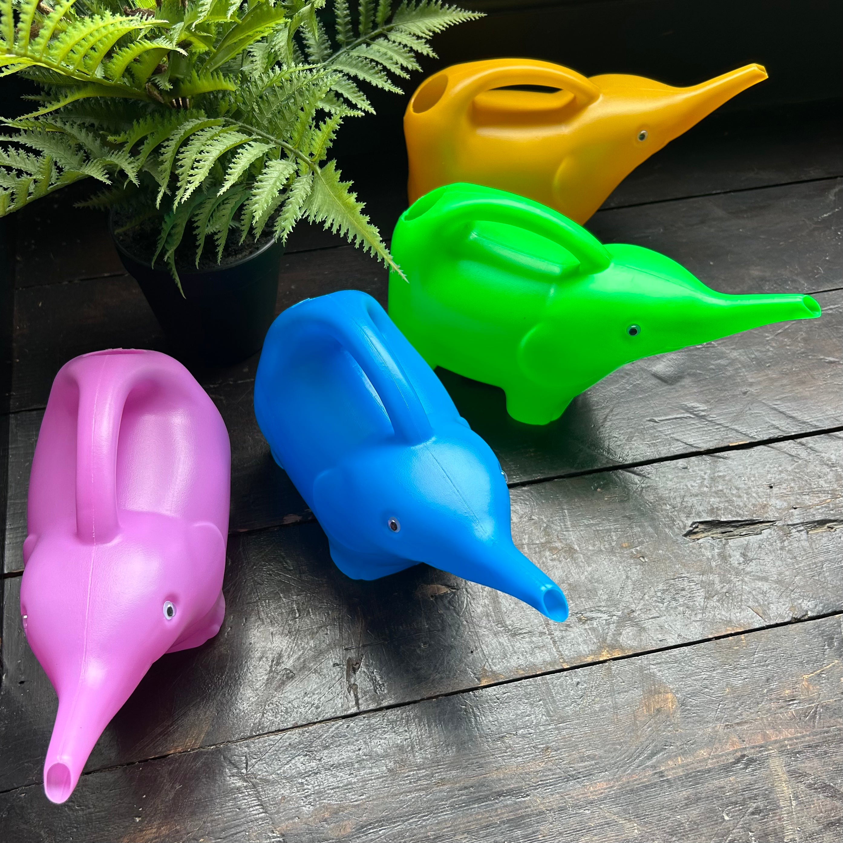 Elephant Watering Can