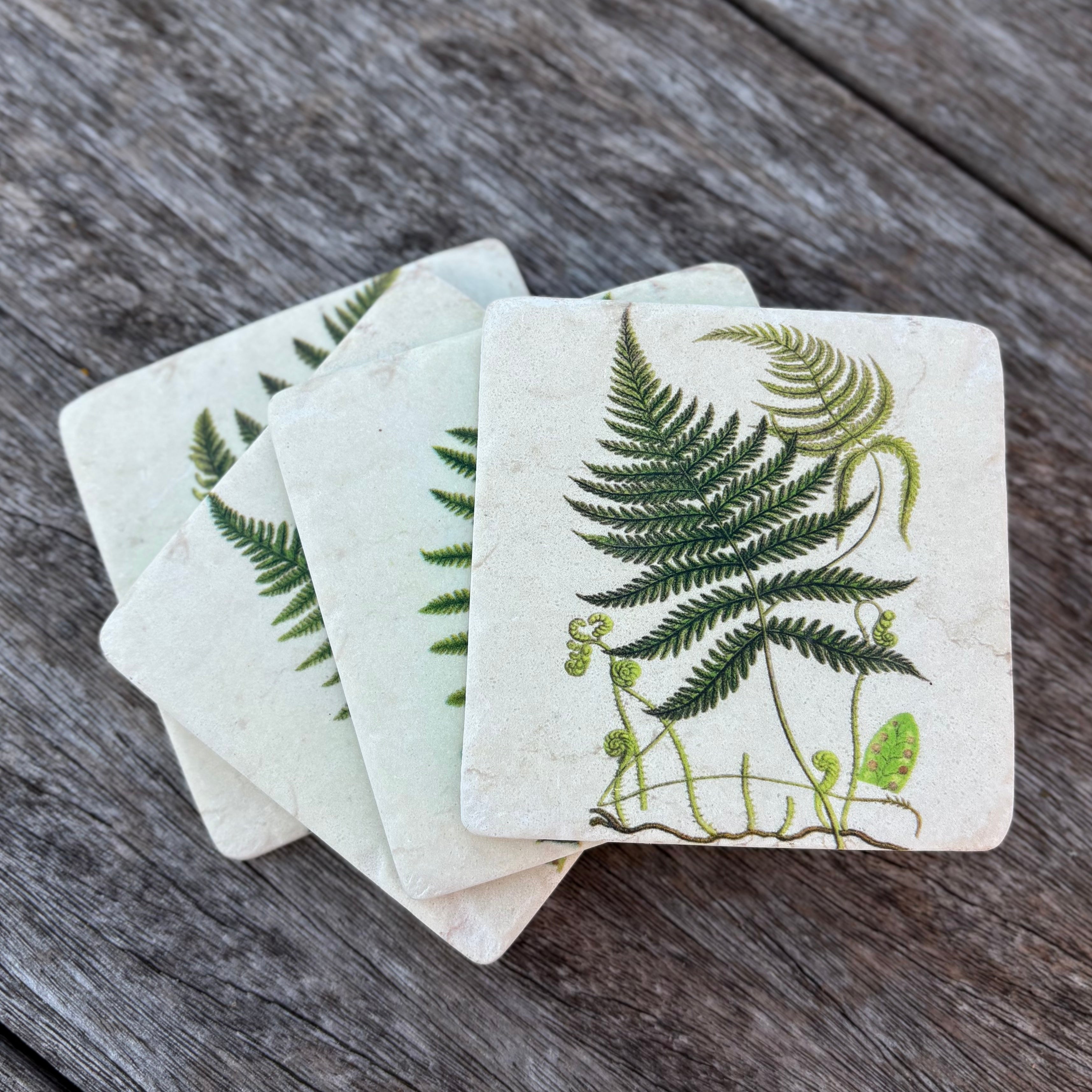 Set Of 4 Fern Coasters