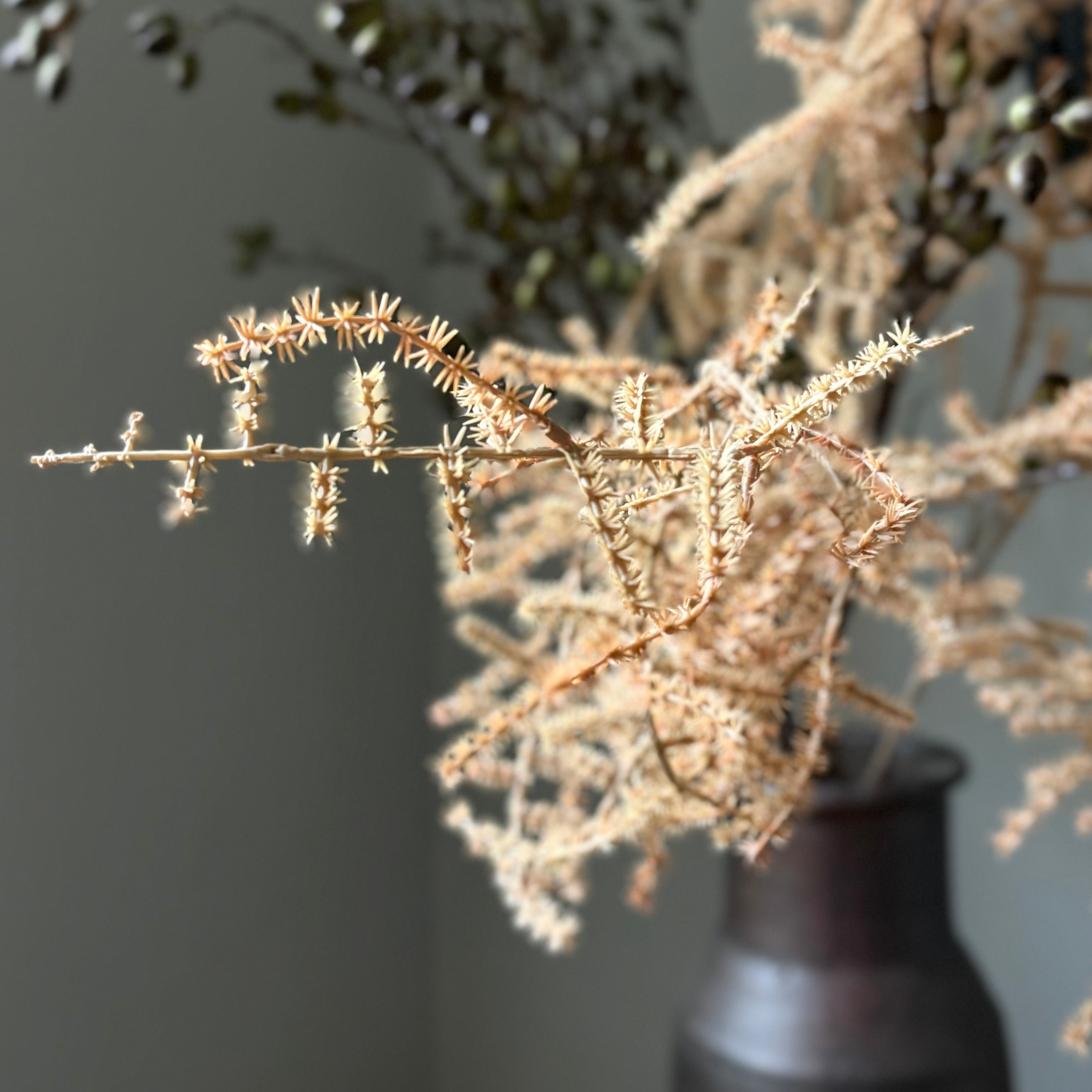 Artificial Asparagus Fern