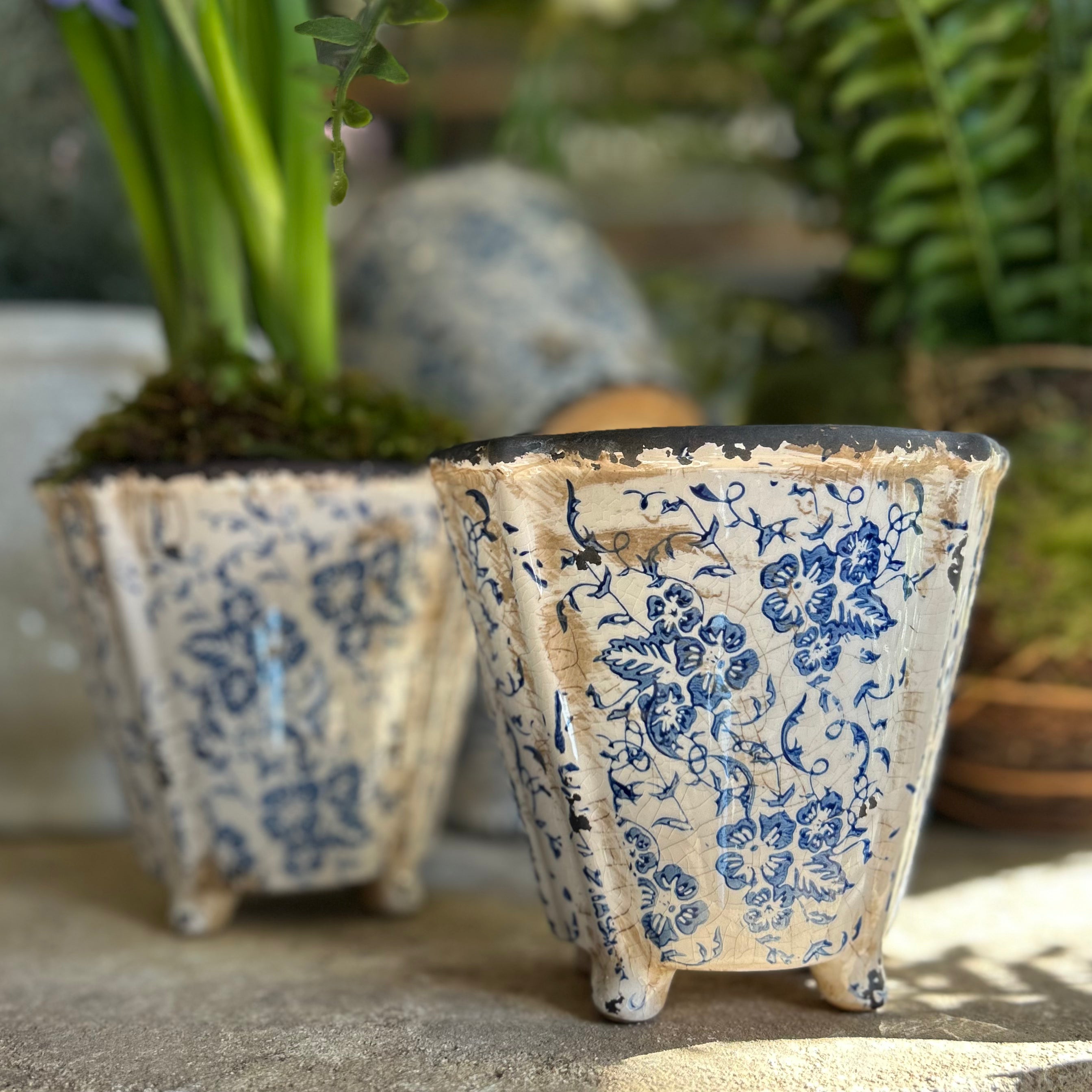 Flo Flower Pot