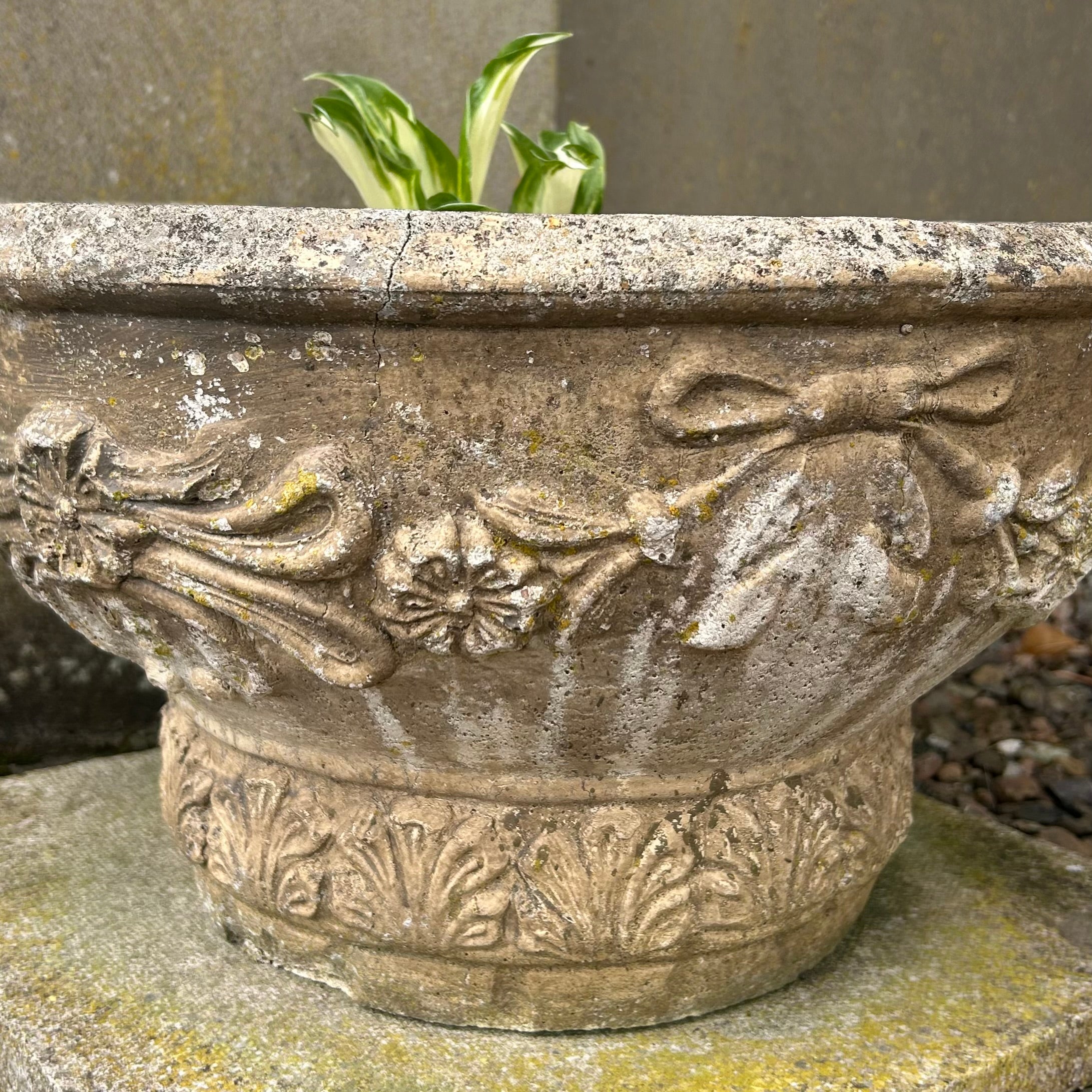 Pair of Shallow Garden Plant Pots