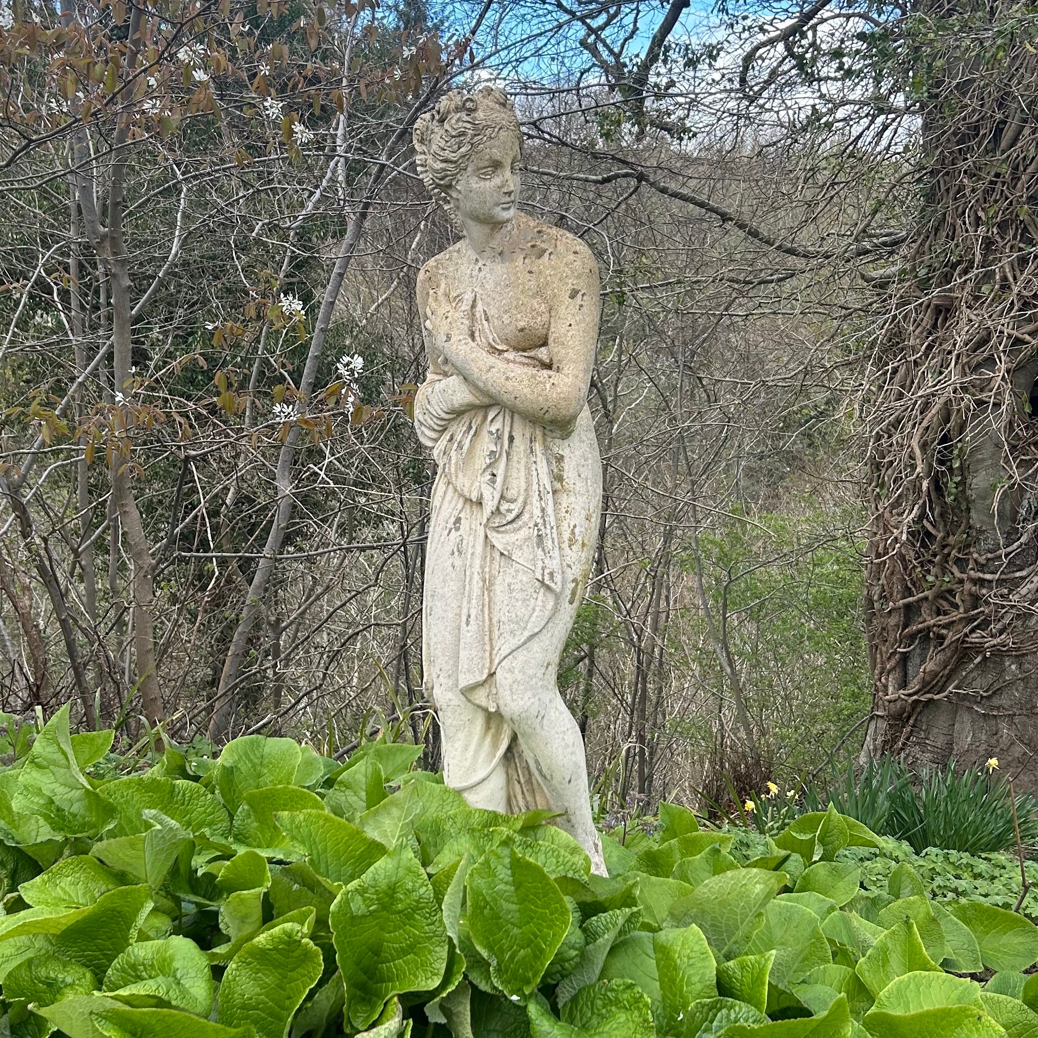 Nordic Venus Statue - Elegant Succulent Holder