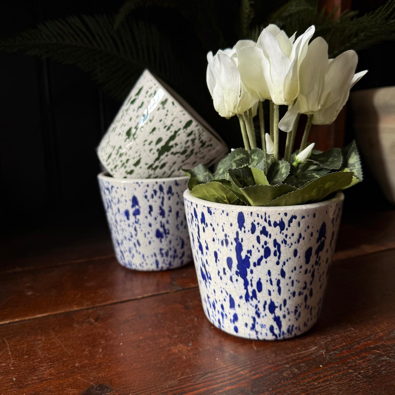 Splash Plant Pot