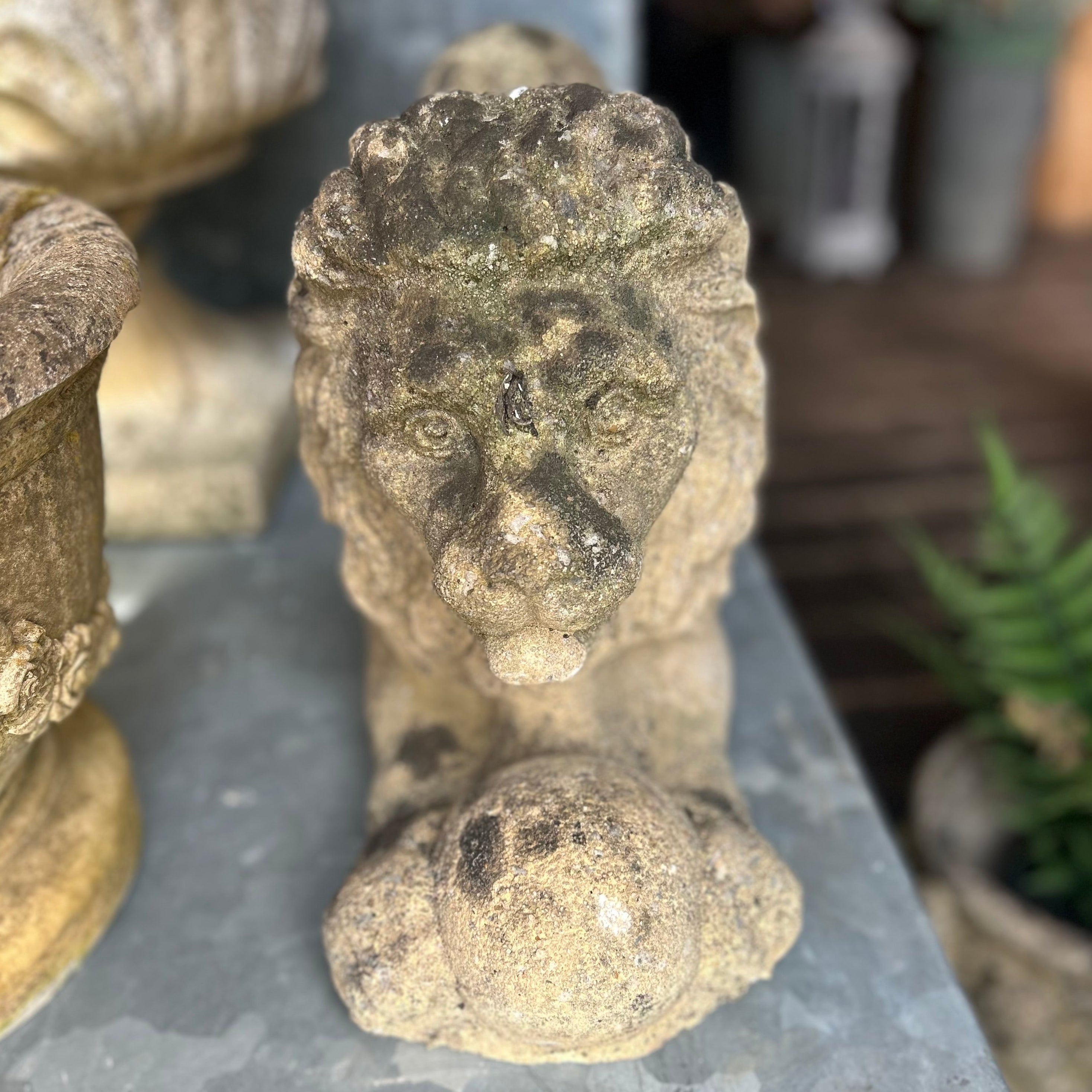 Reconstituted Stone Lion