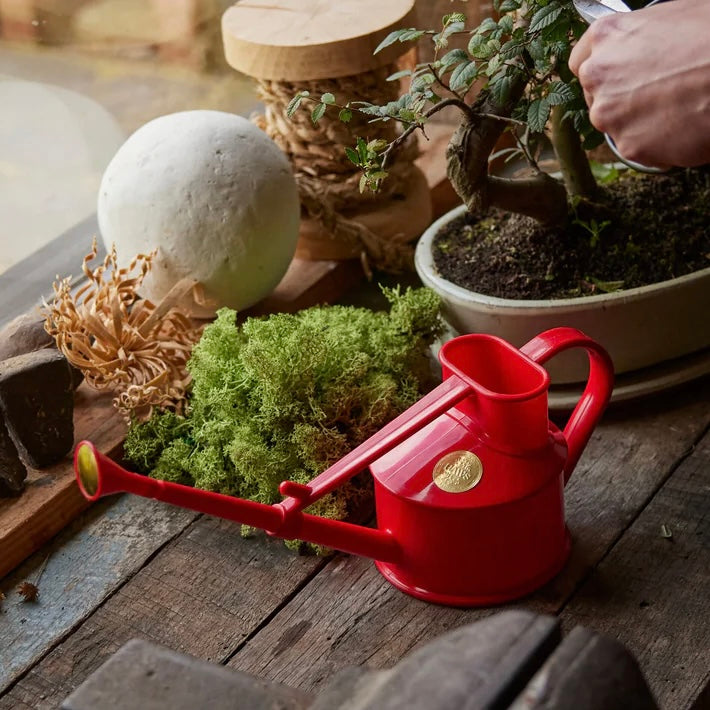 Haws Indoor Watering Can