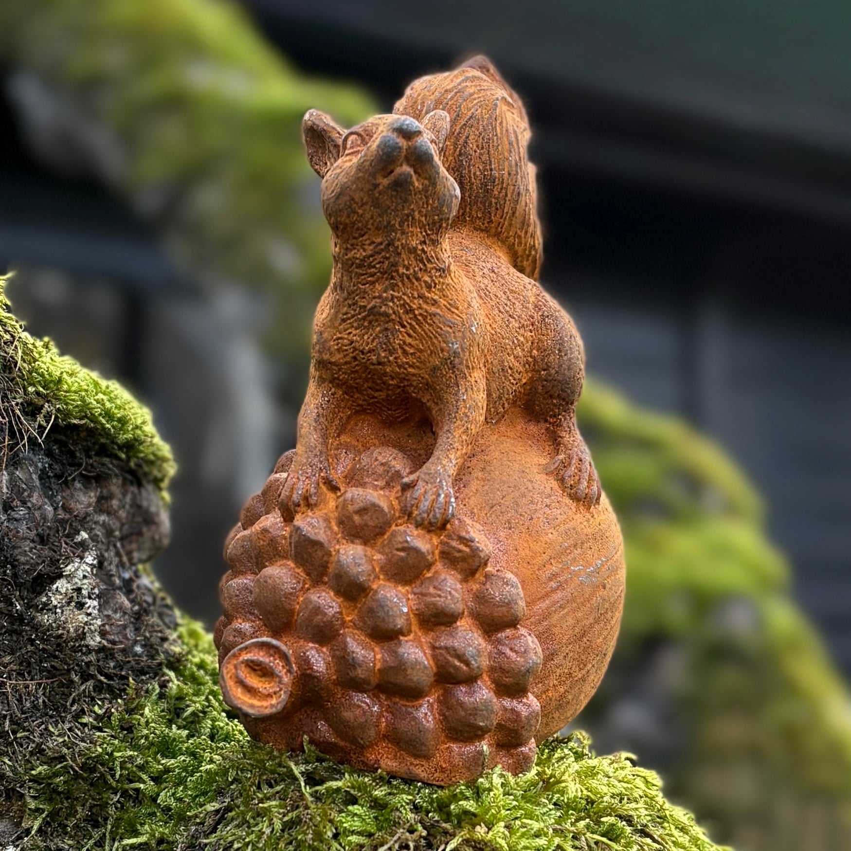 Cast Iron Squirrel