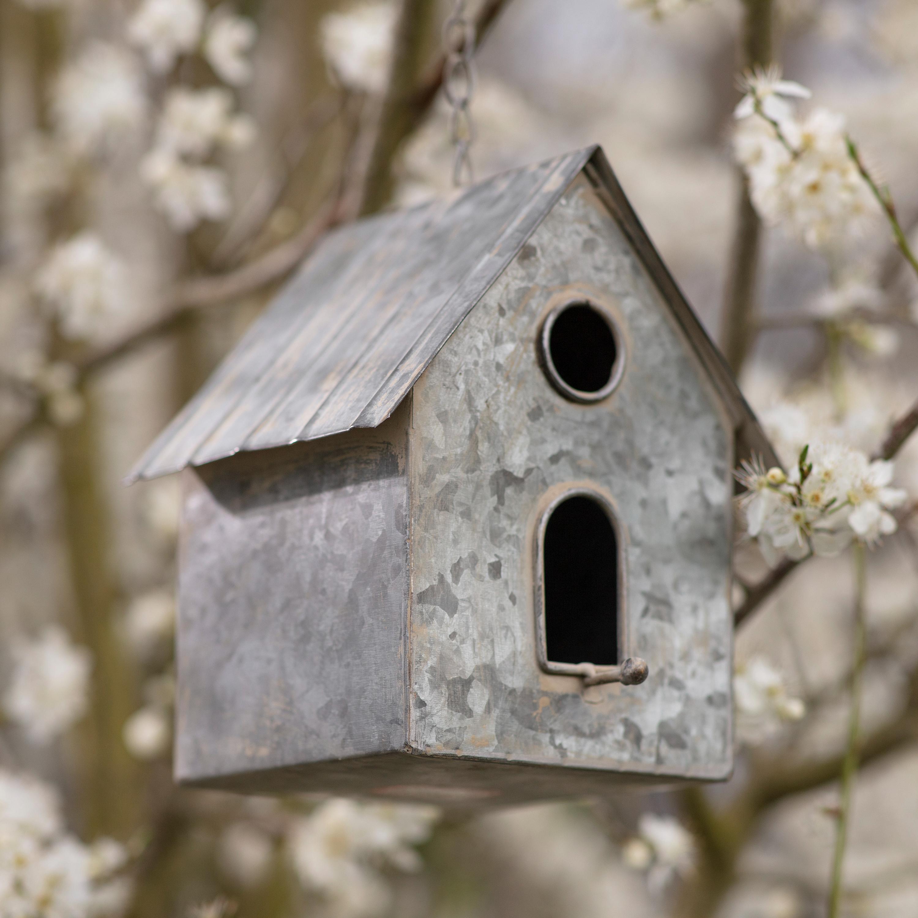 Hawthorn Birdhouse