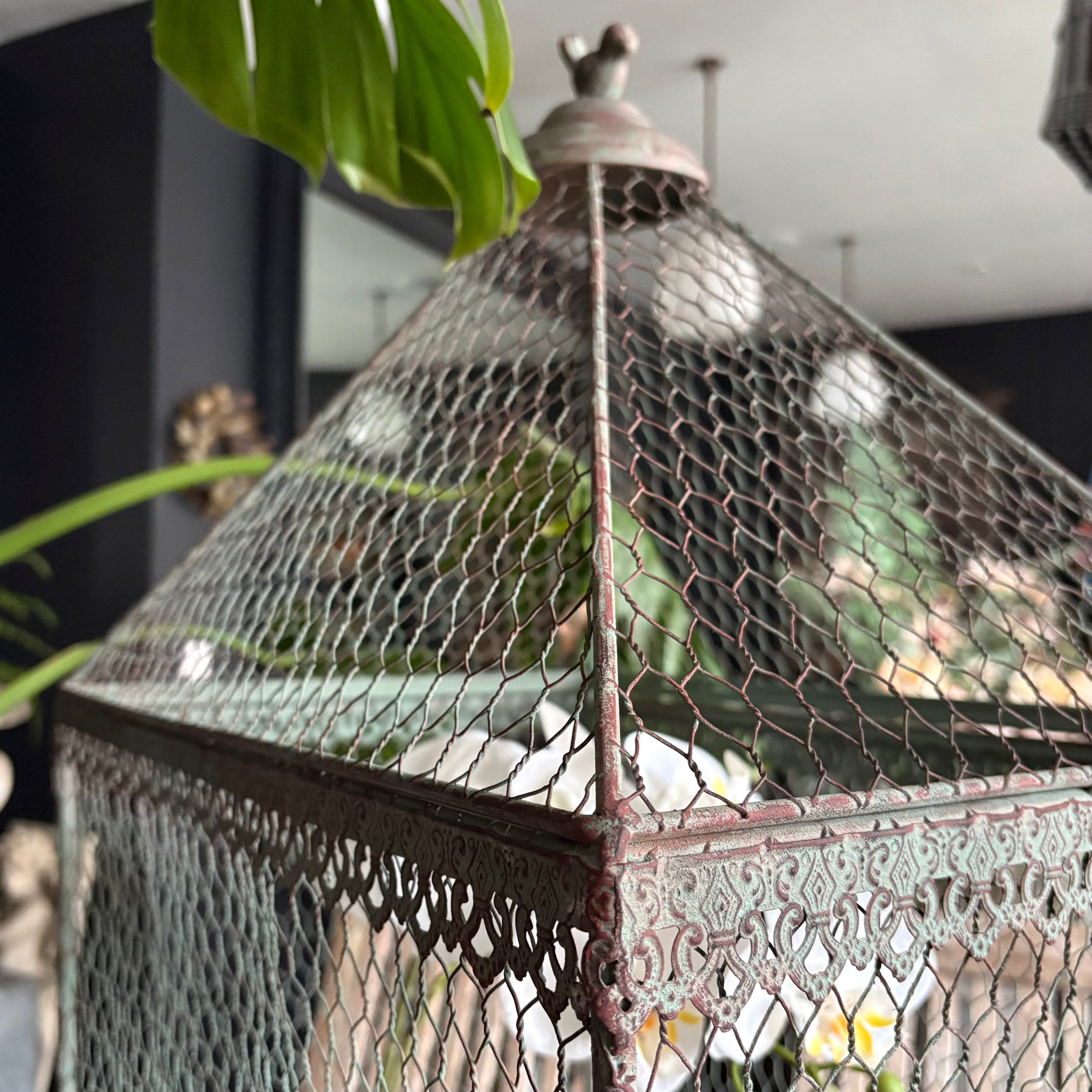 Birdcage Plant Theatre