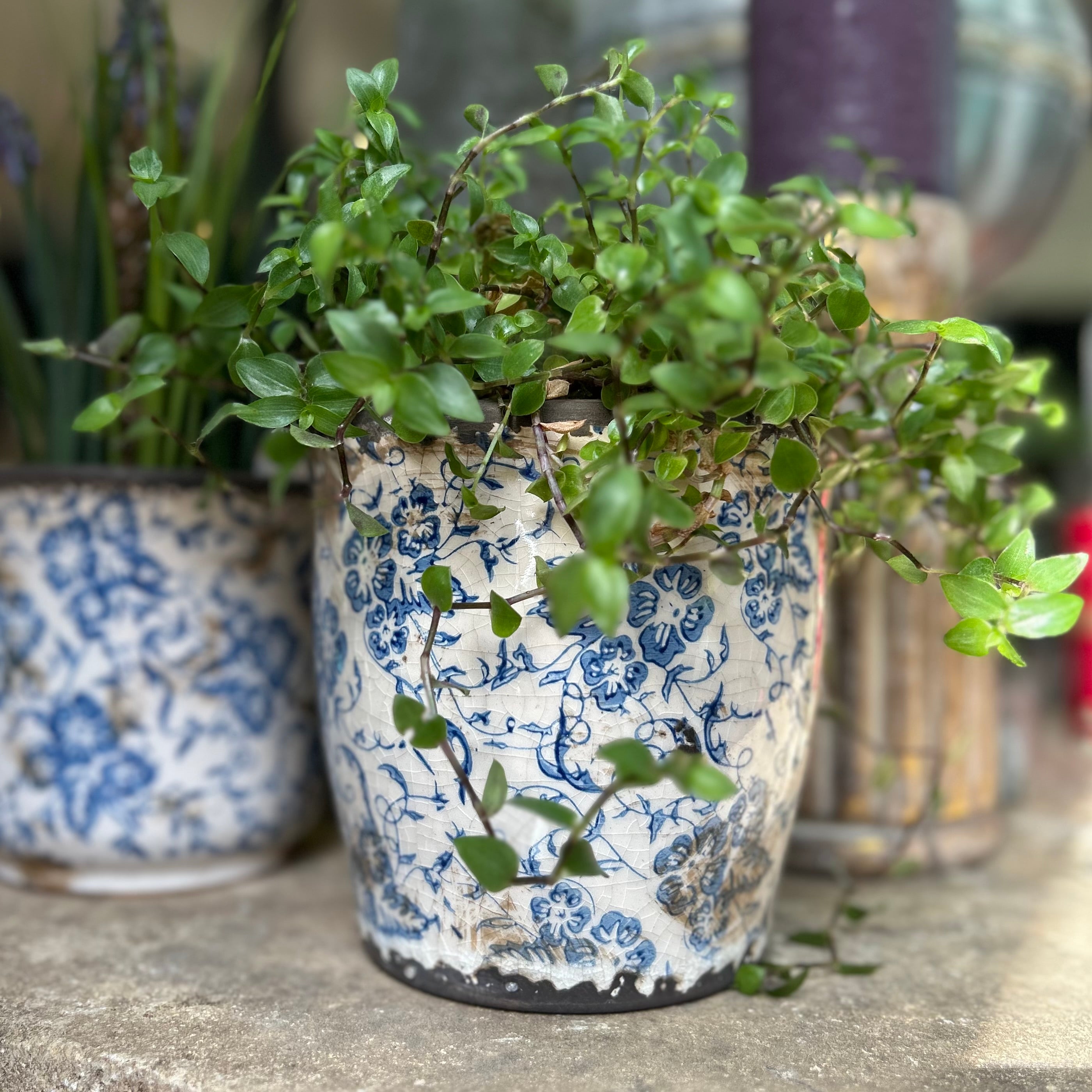 Flo Plant Pot