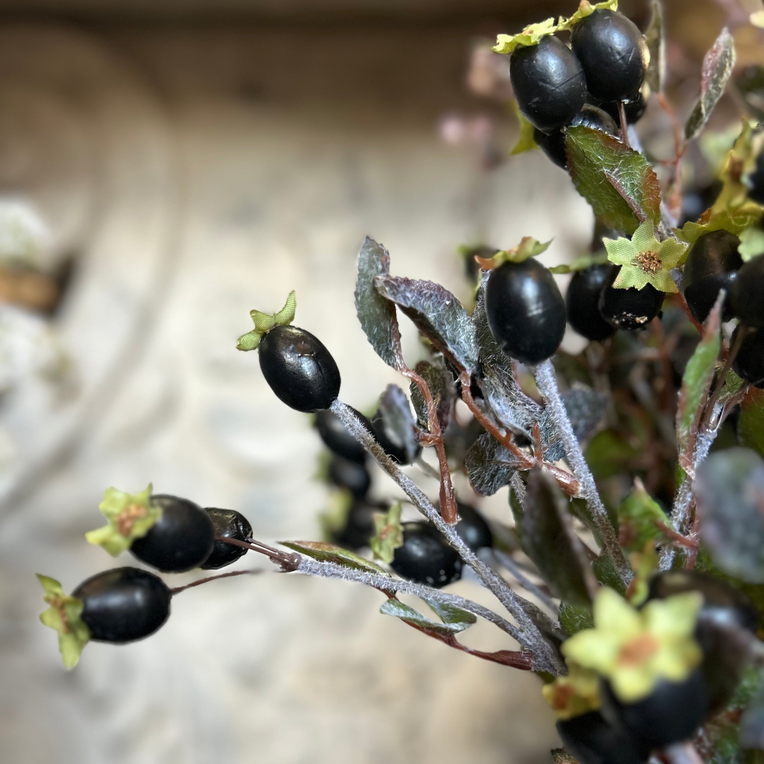 Dark Rosehip Stem