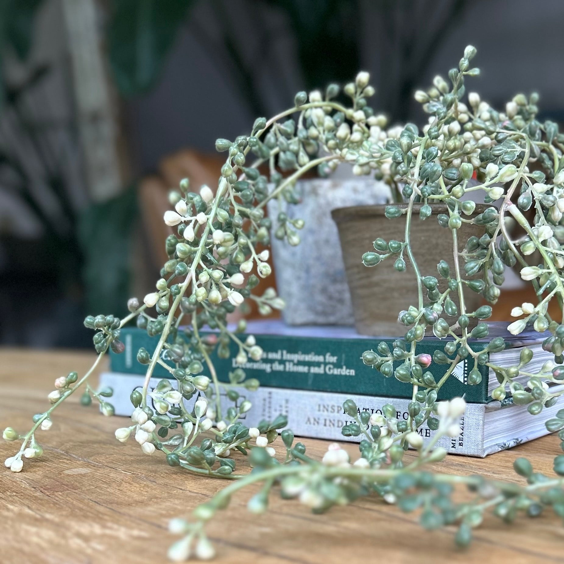 Faux String Of Pearls Plant