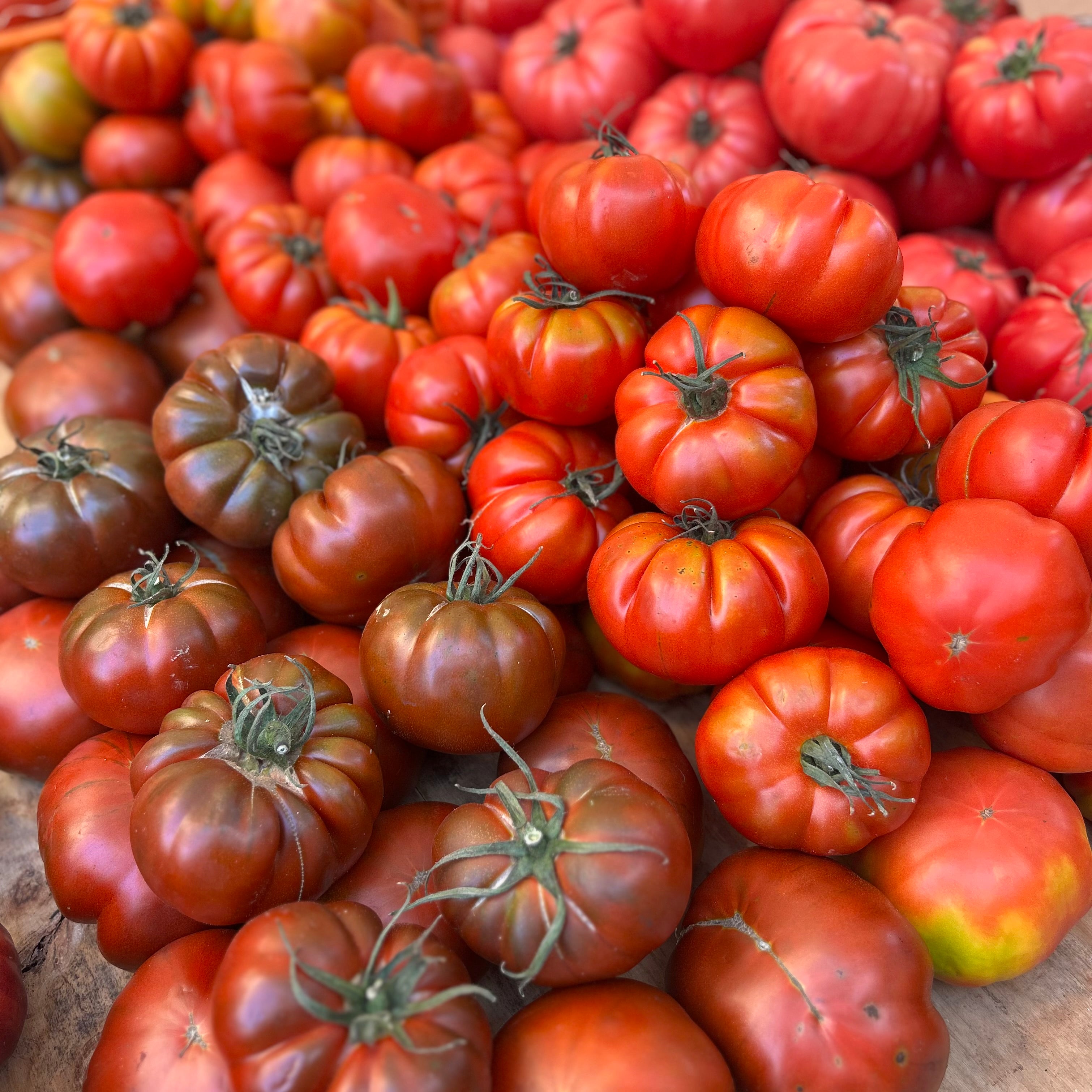 Franchi Italian Seeds