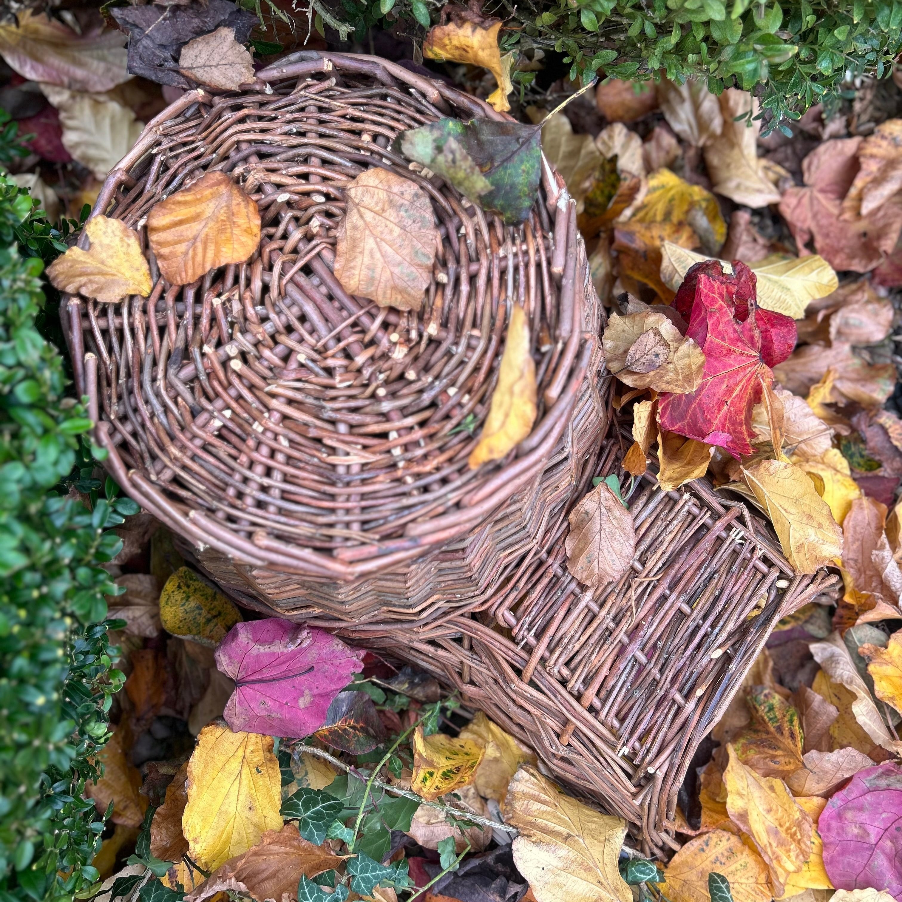 Willow Hedgehog House
