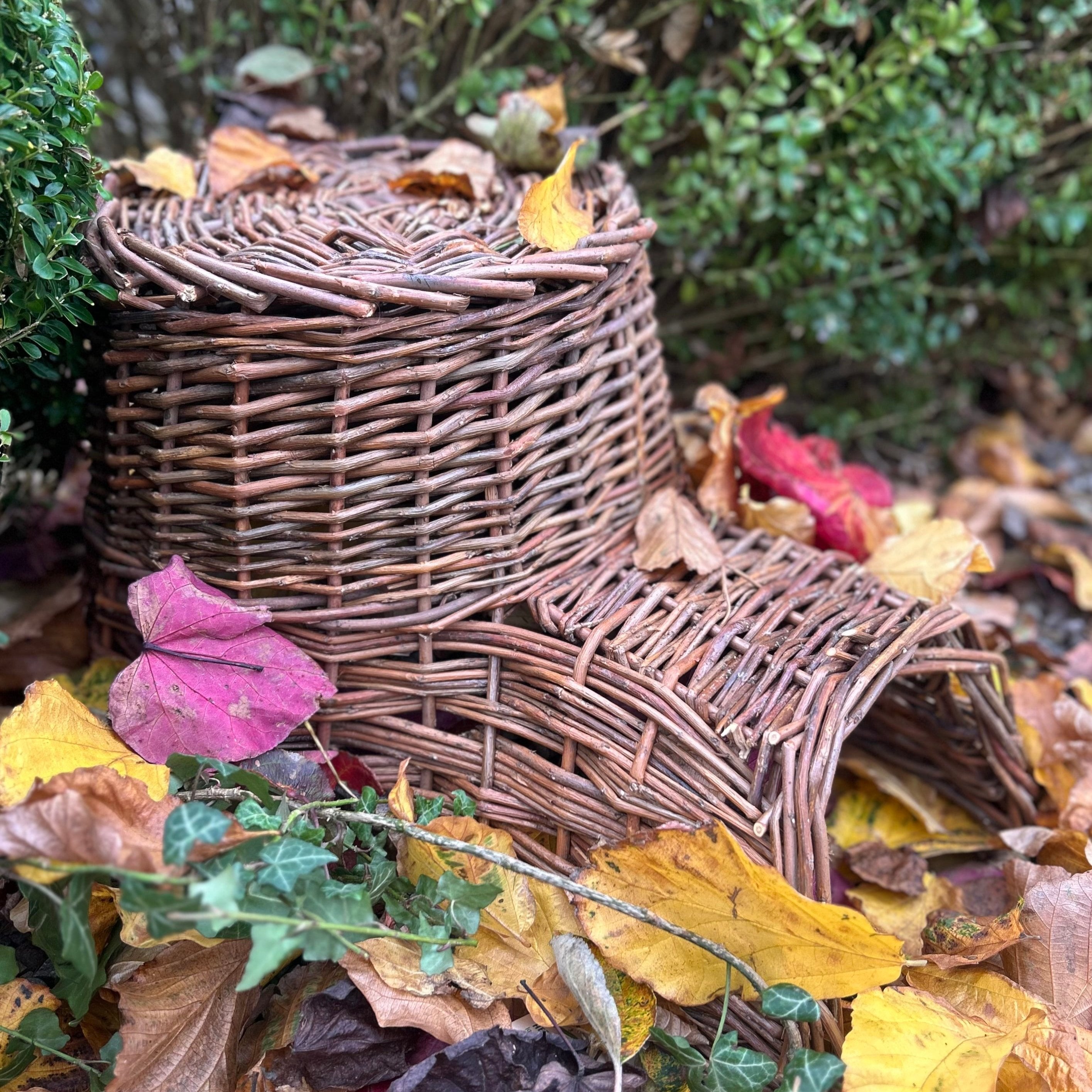 Willow Hedgehog House