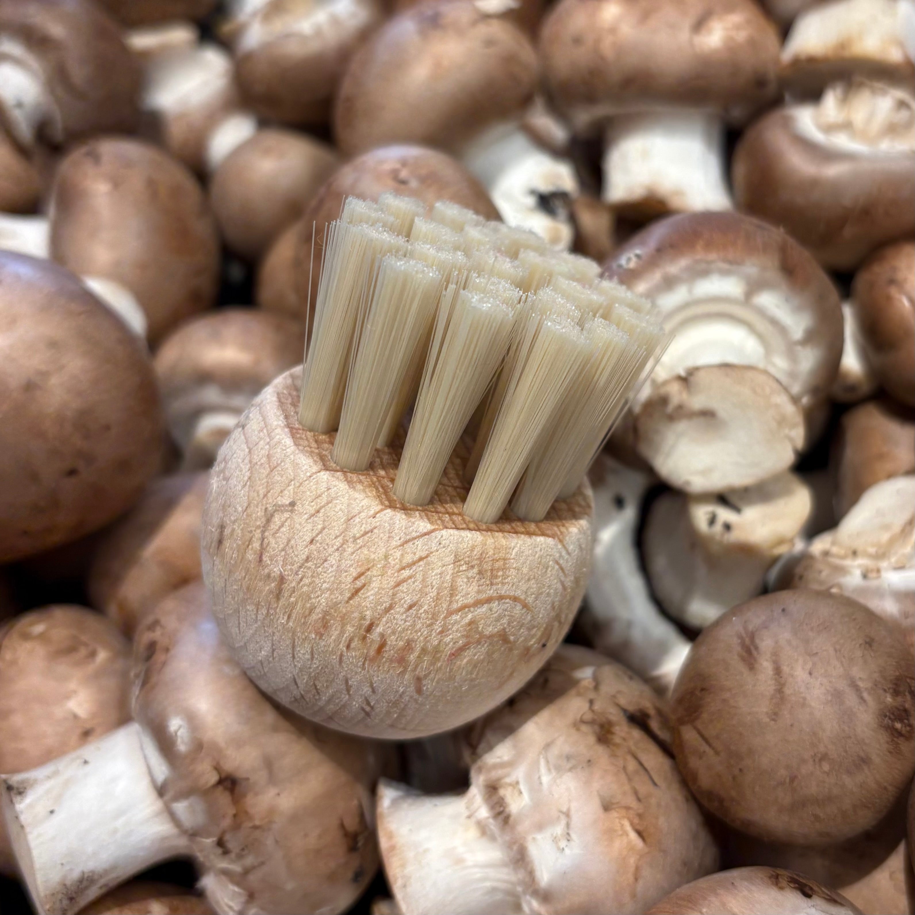 Mushroom Brush
