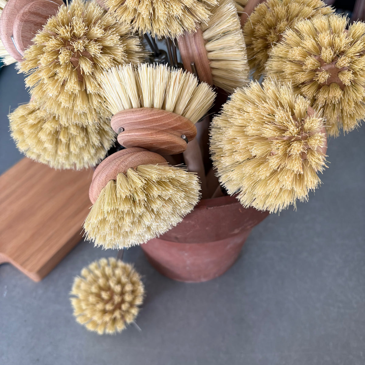 Wooden Dish Brush