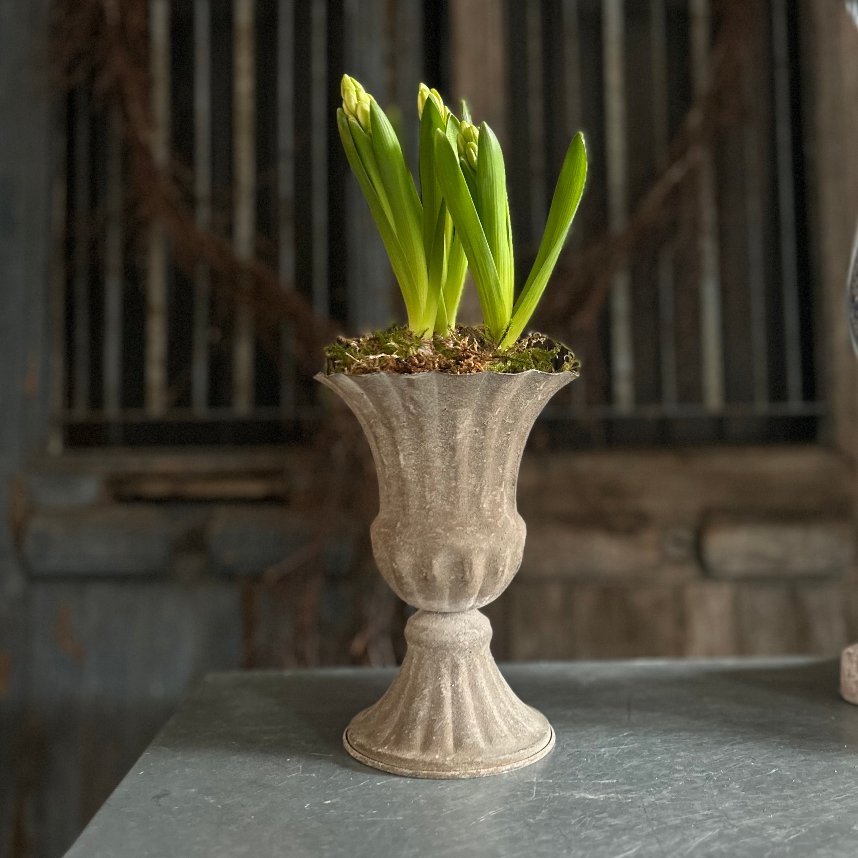 Metal Tulip Urn