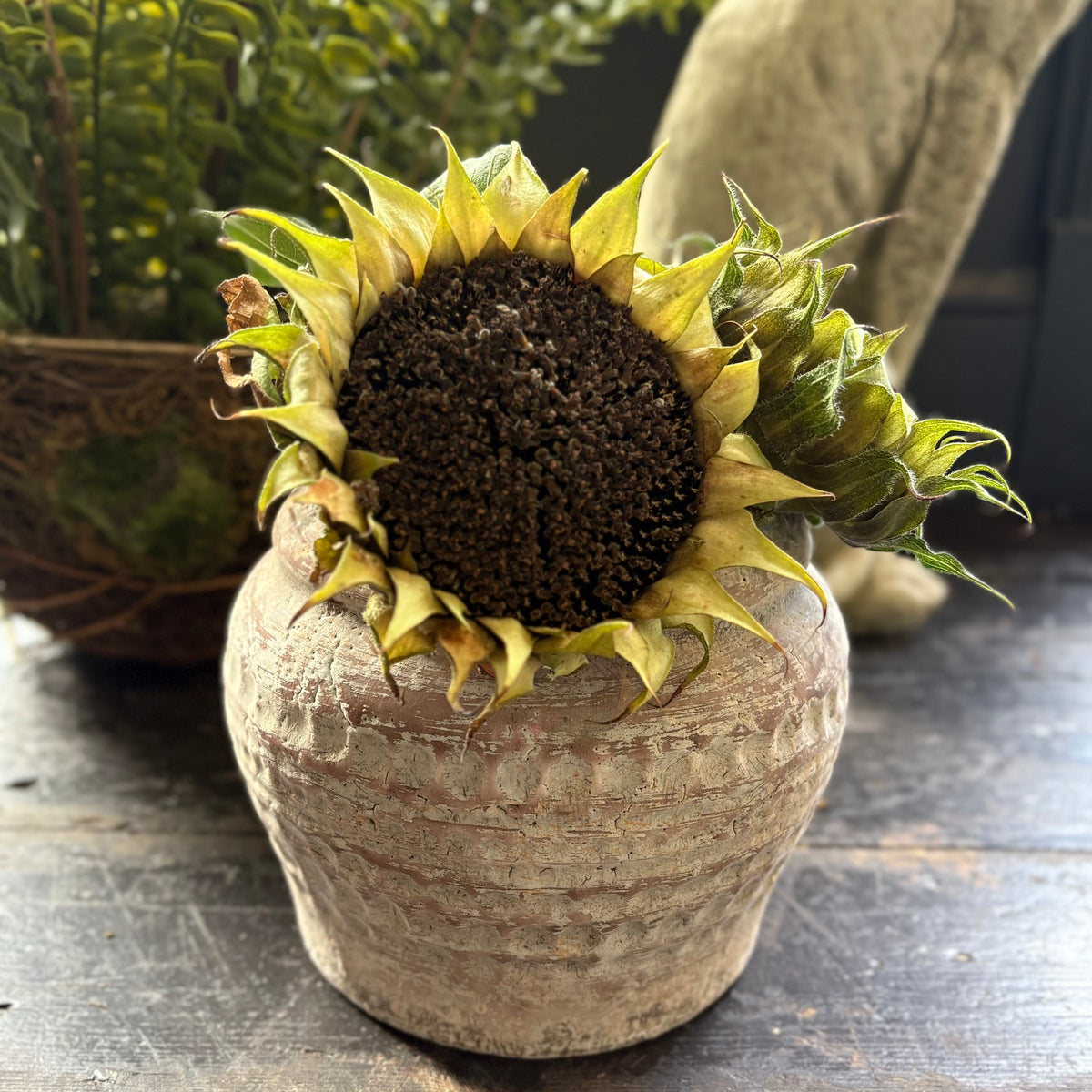Sienna Dimpled Pot