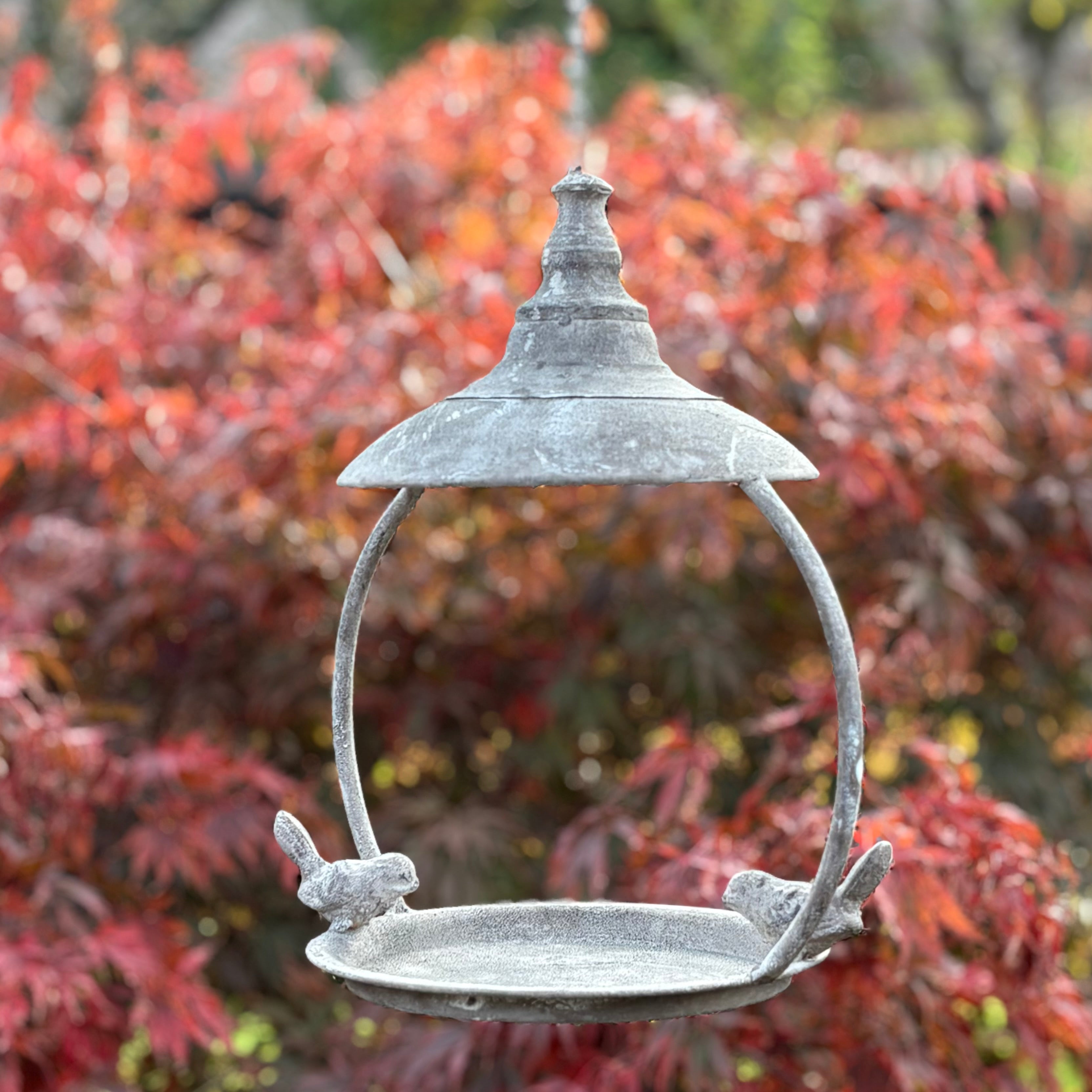 Hanging Bird Feeder