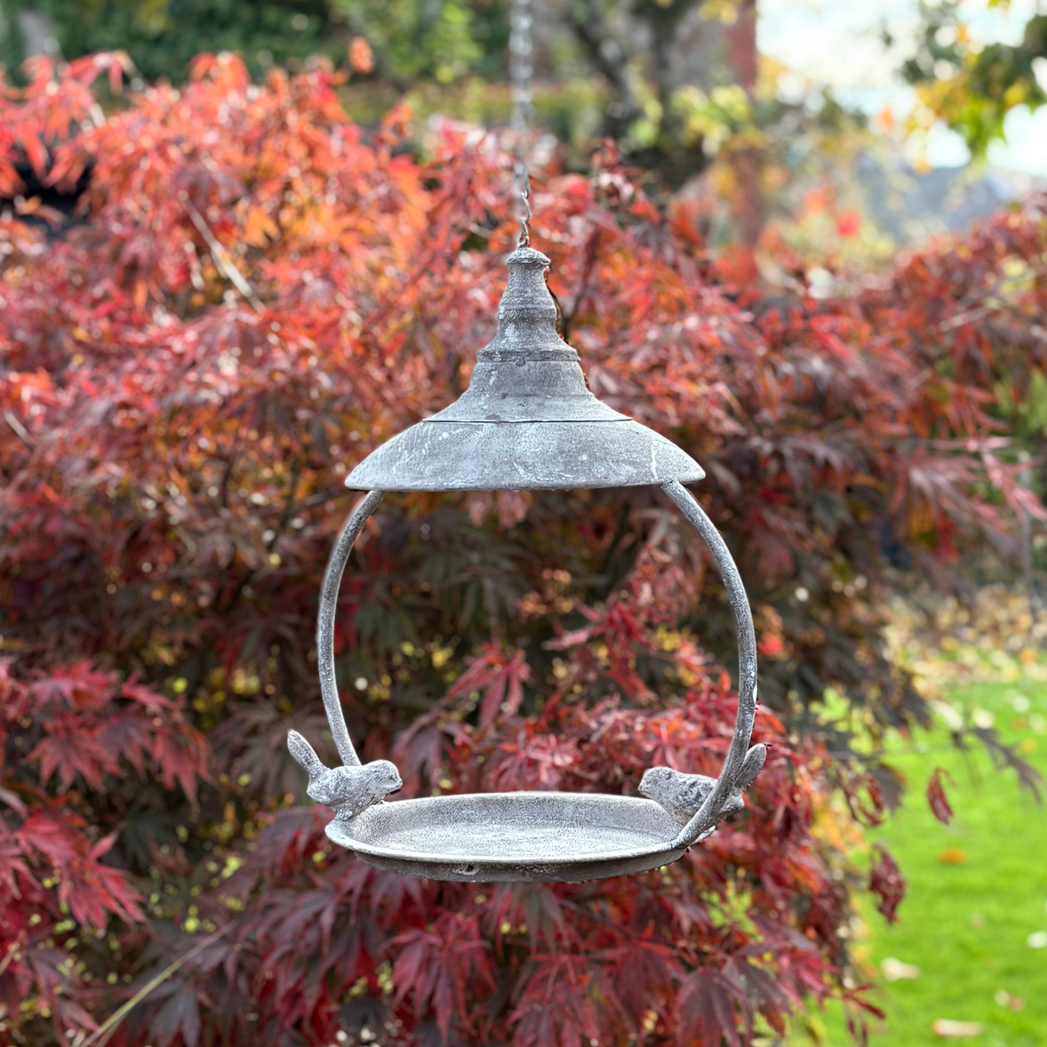 Hanging Bird Feeder