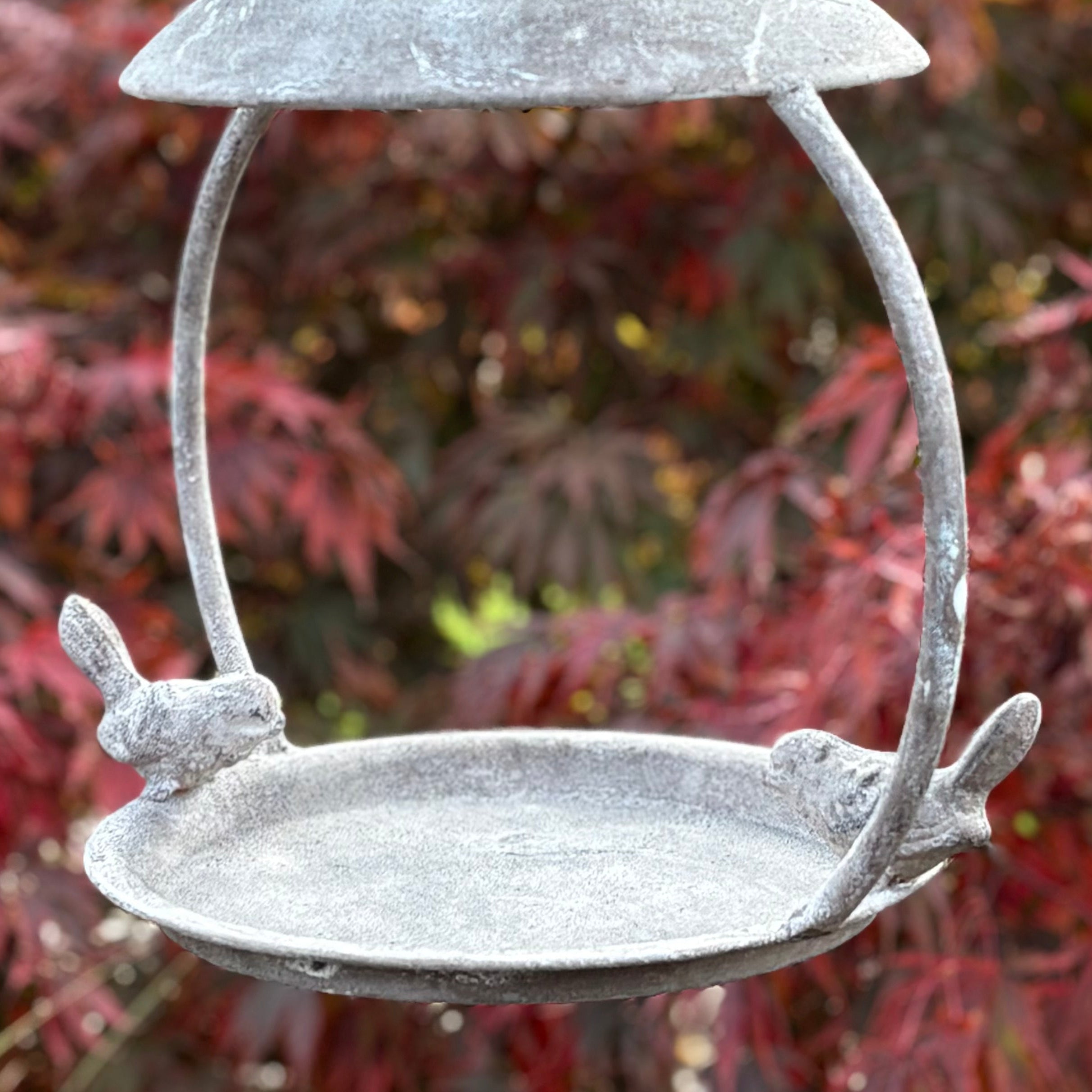 Hanging Bird Feeder