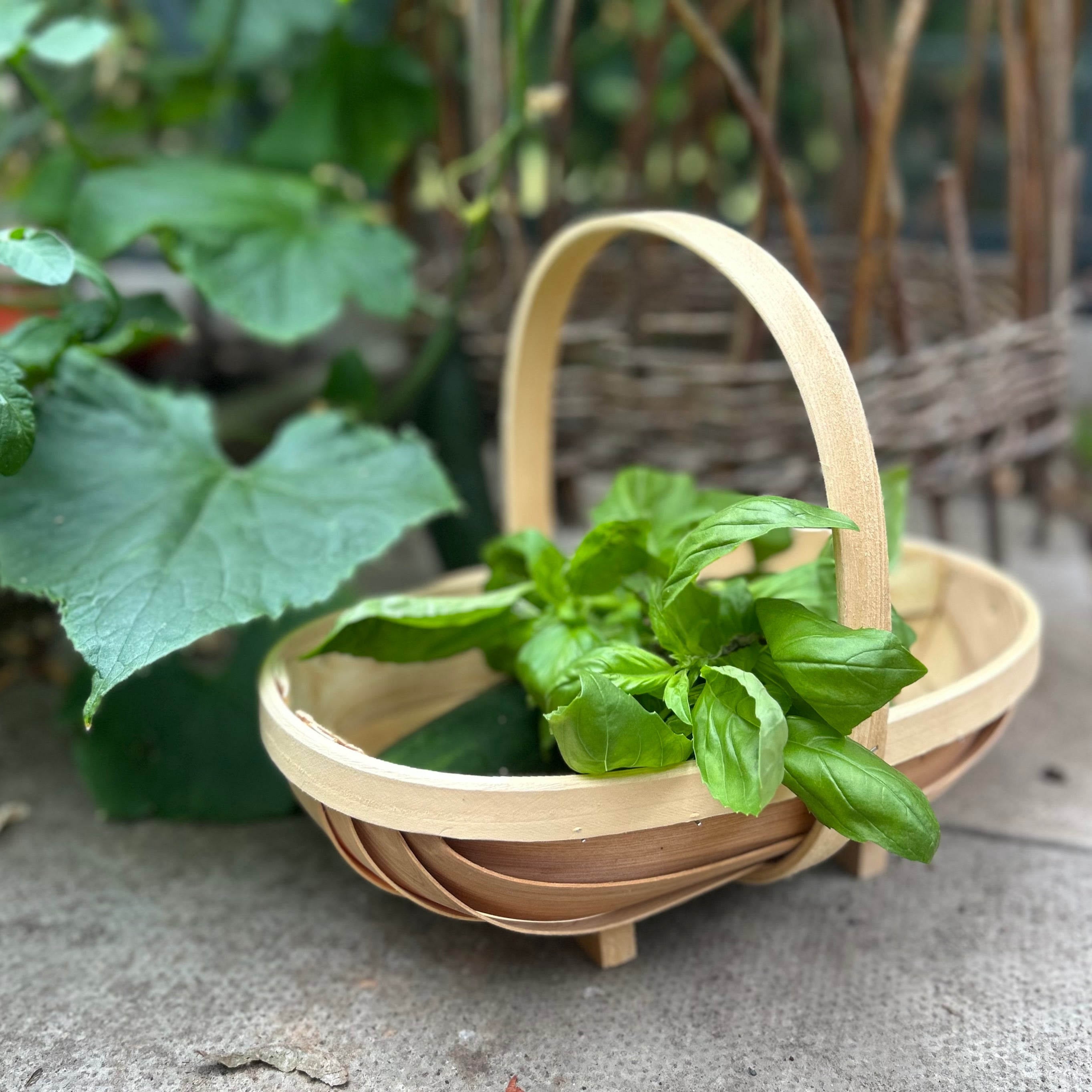Wooden Garden Trug