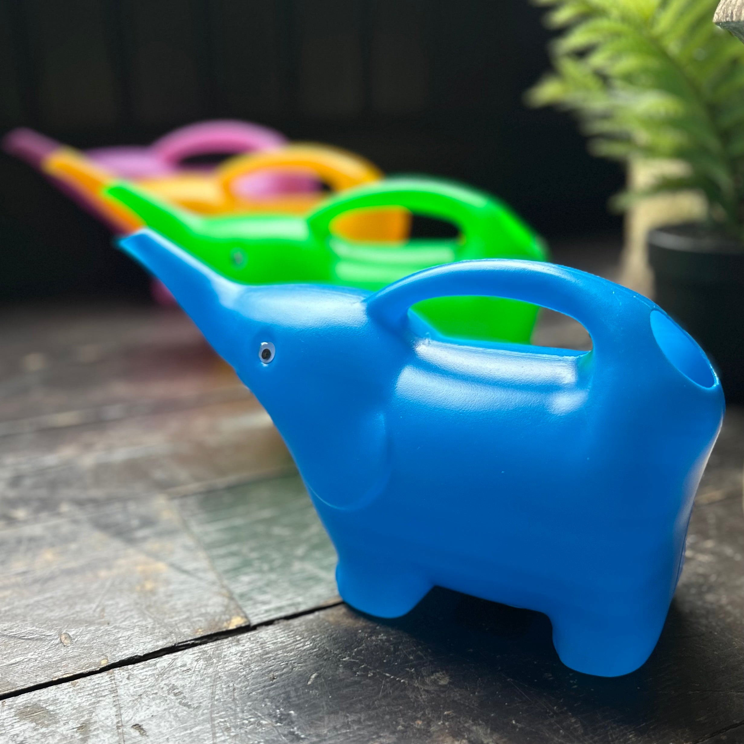Elephant Watering Can