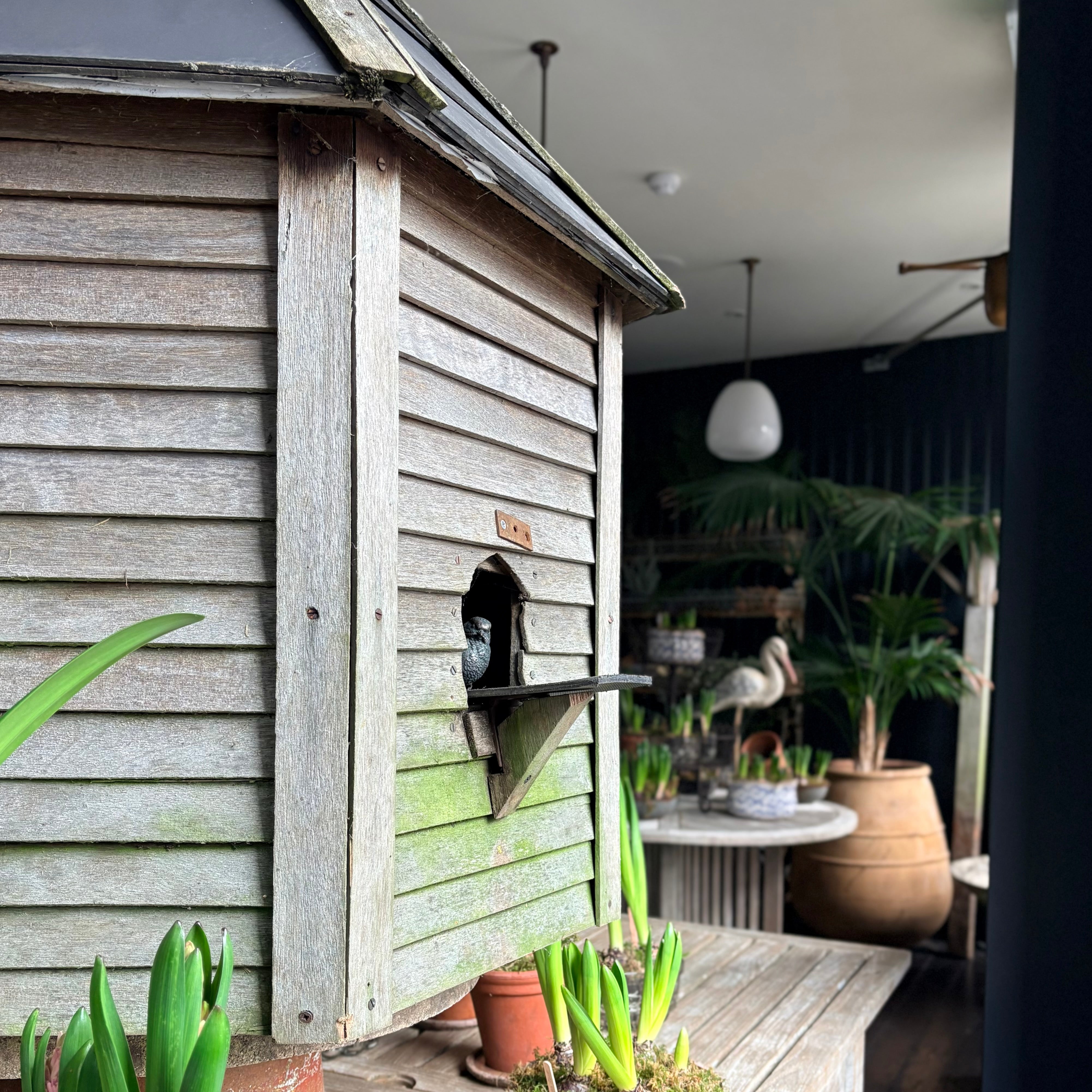 Teak Dovecote & Mounting Pole