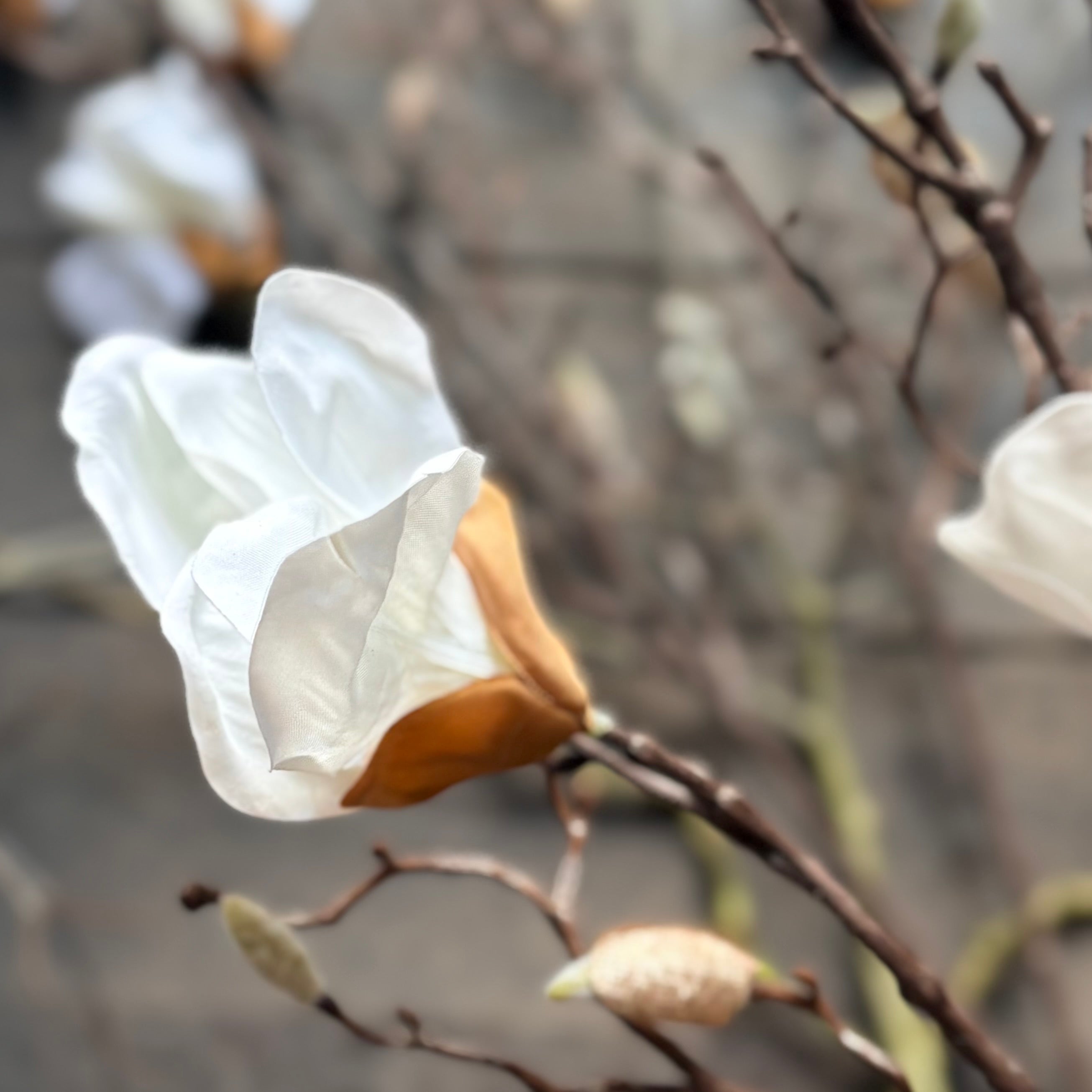 Artificial Magnolia Stem - White