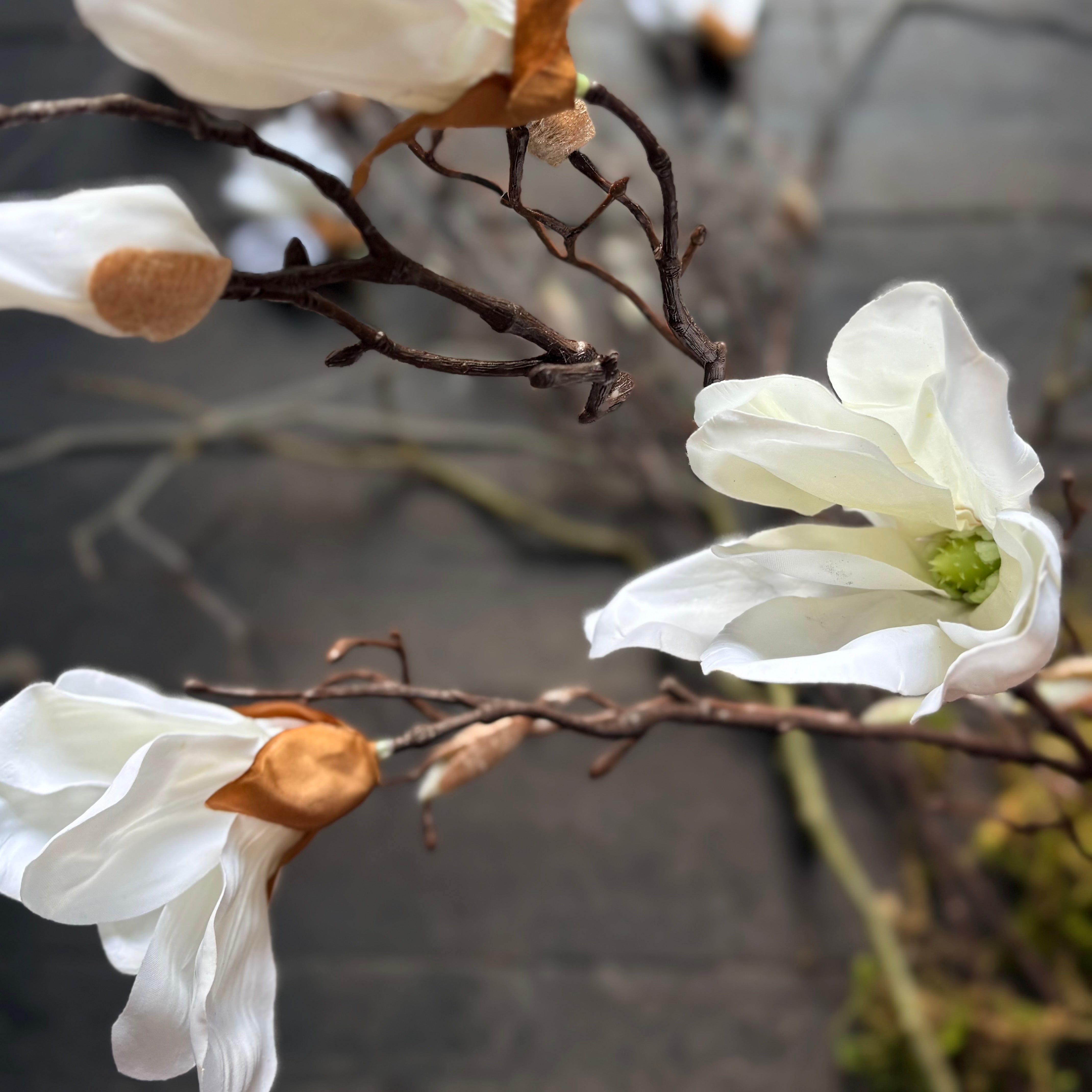 Artificial Magnolia Stem - White