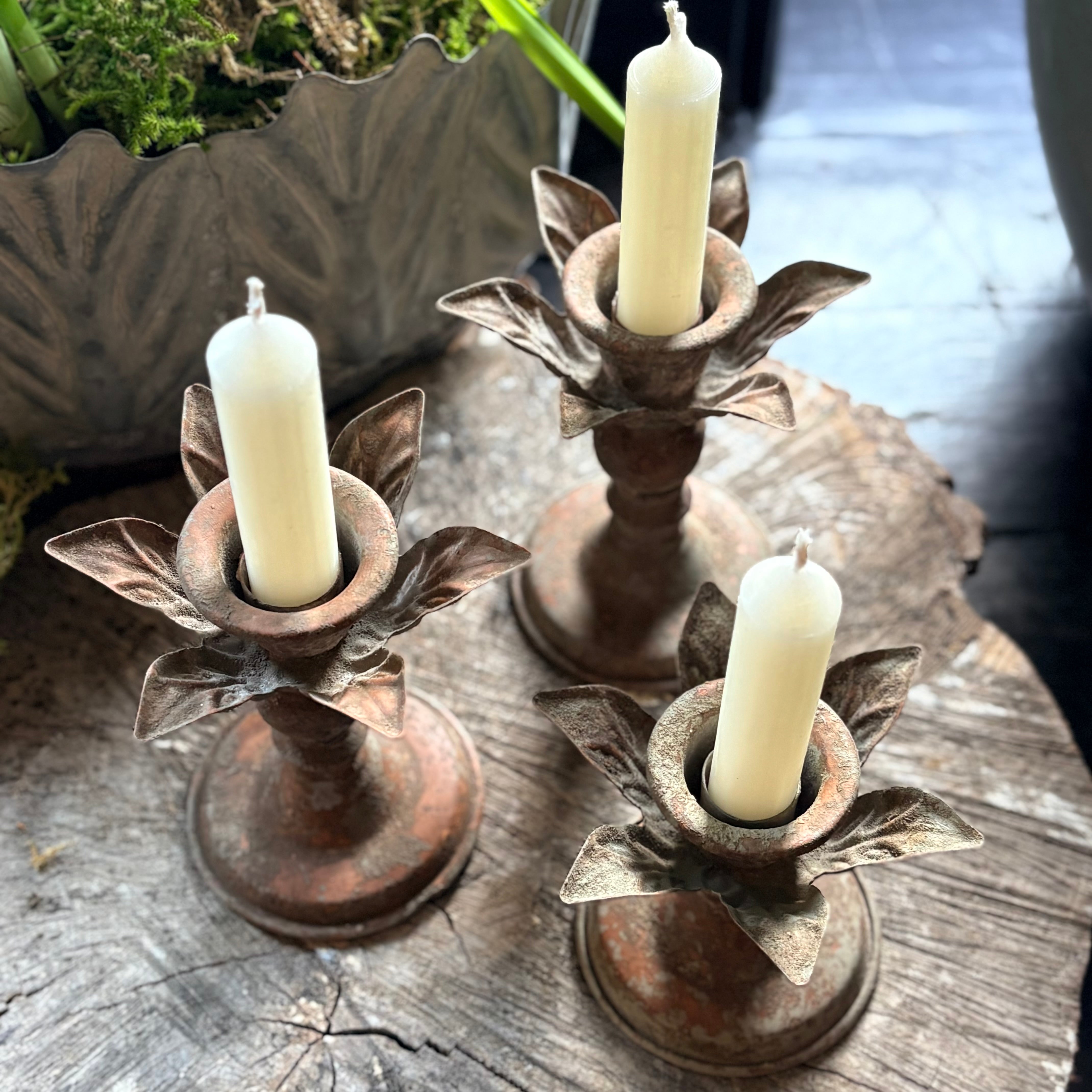 Hortus Candlestick